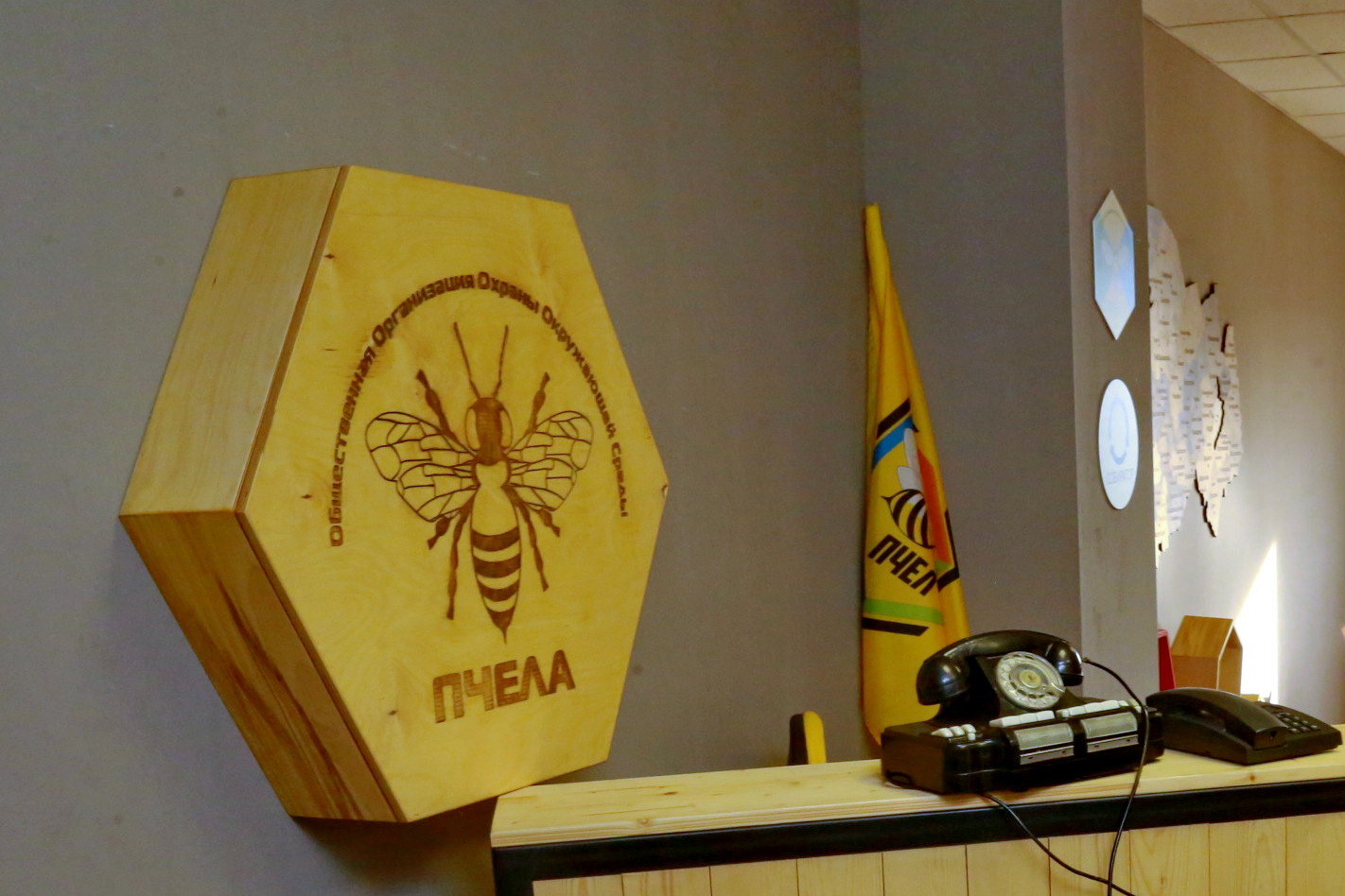 Создать из опилок картину с котиком предложат новосибирцам на экофестивале