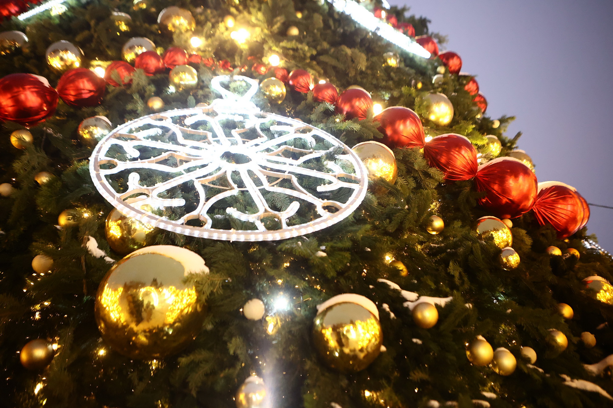 Уличный опрос: новосибирцы поделились новогодними мечтами и планами