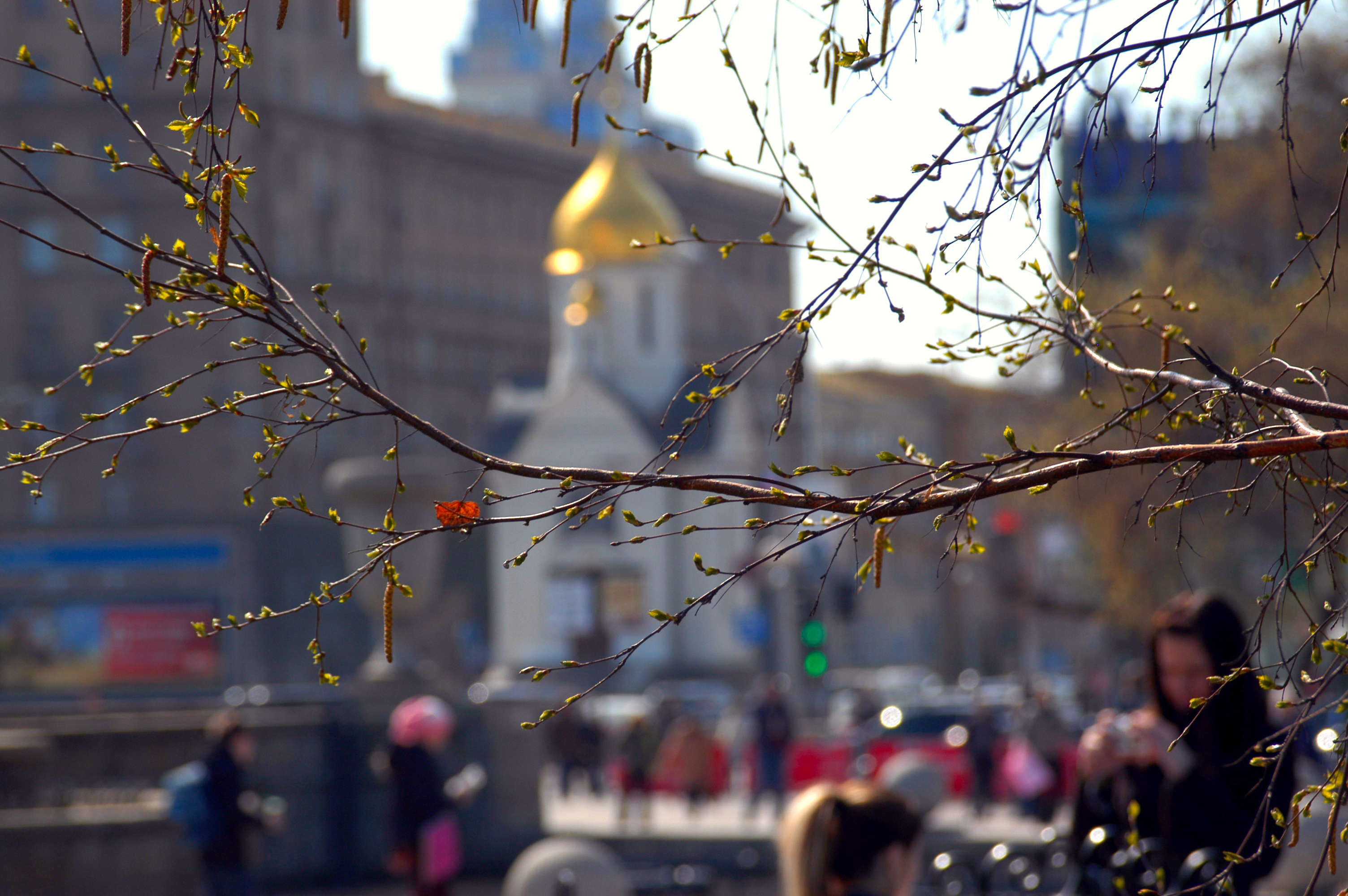 Весна в Новосибирск идёт мелкими шажочками — синоптик