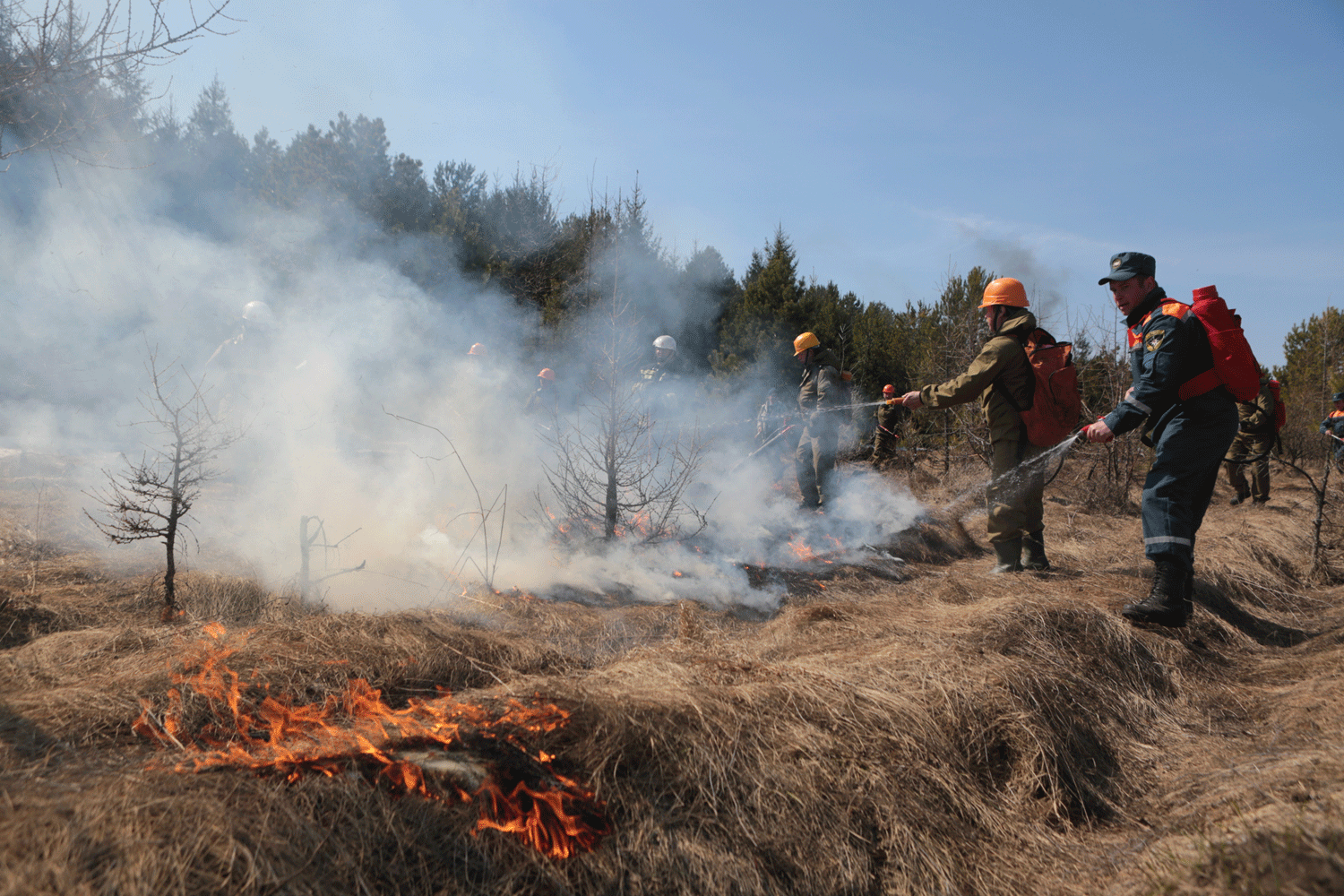 Из-за жаркой погоды в Новосибирске стала чаще гореть сухая трава