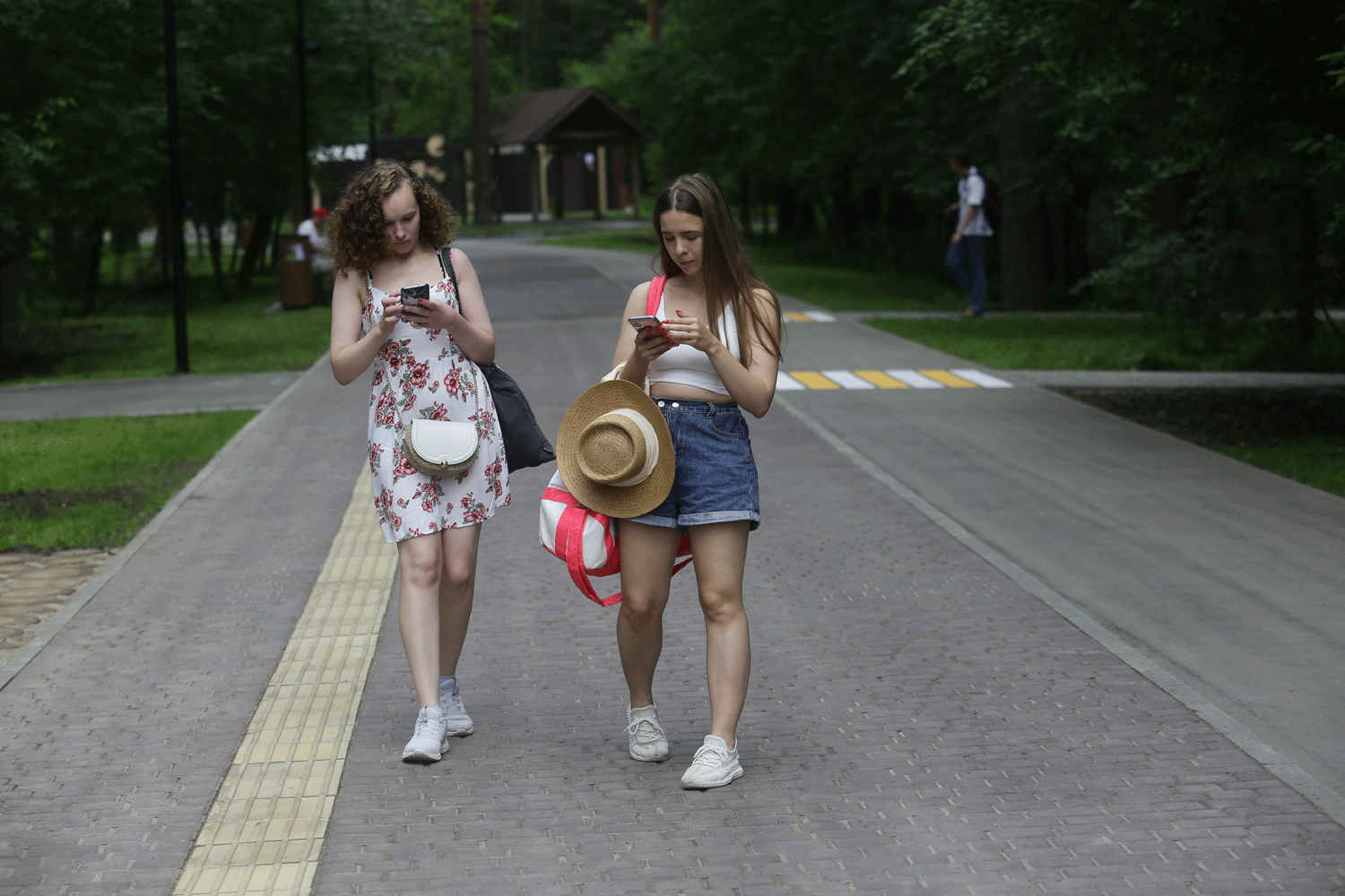 Заельцовский парк в Новосибирске закроют на акарицидную обработку