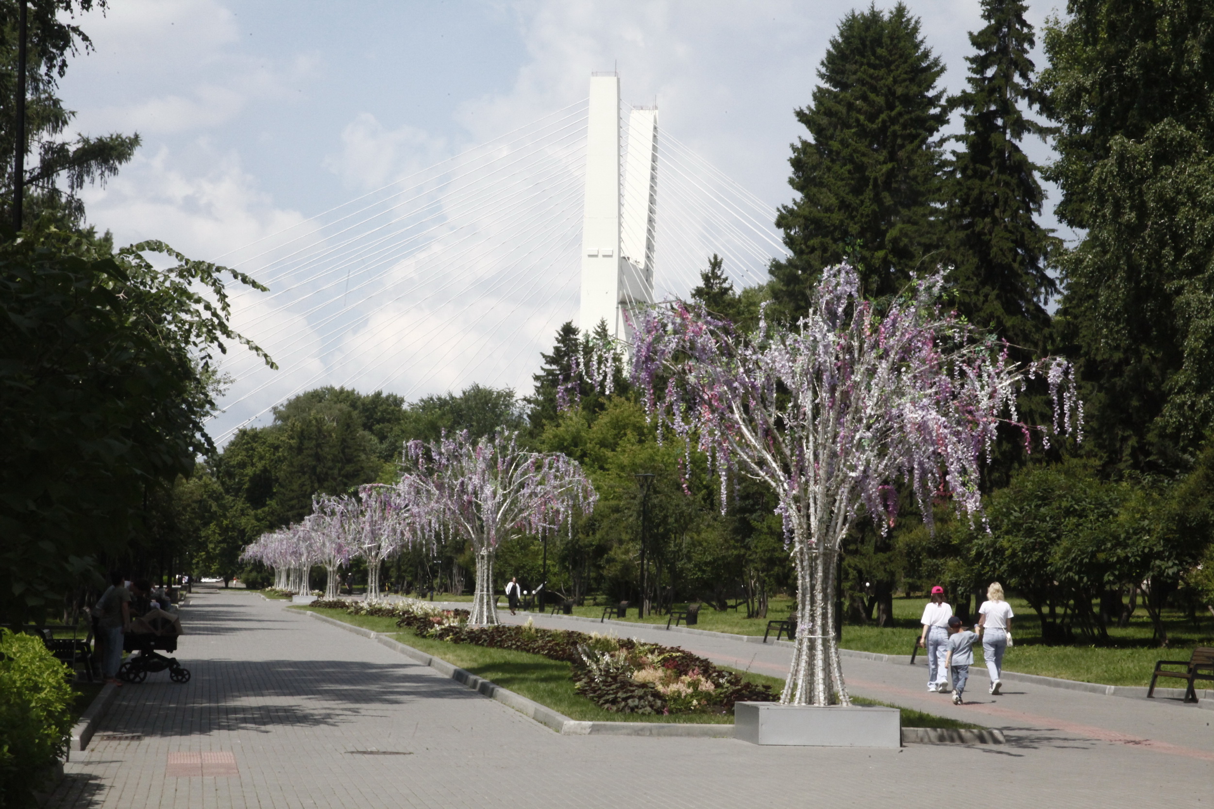 Аварийные деревья спилят вдоль Михайловской набережной в Новосибирске