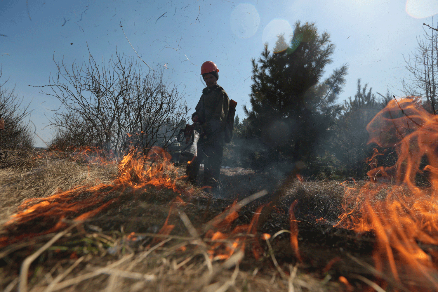 Новосибирское минприроды требует взыскать 271 тысячу за тушение пожара