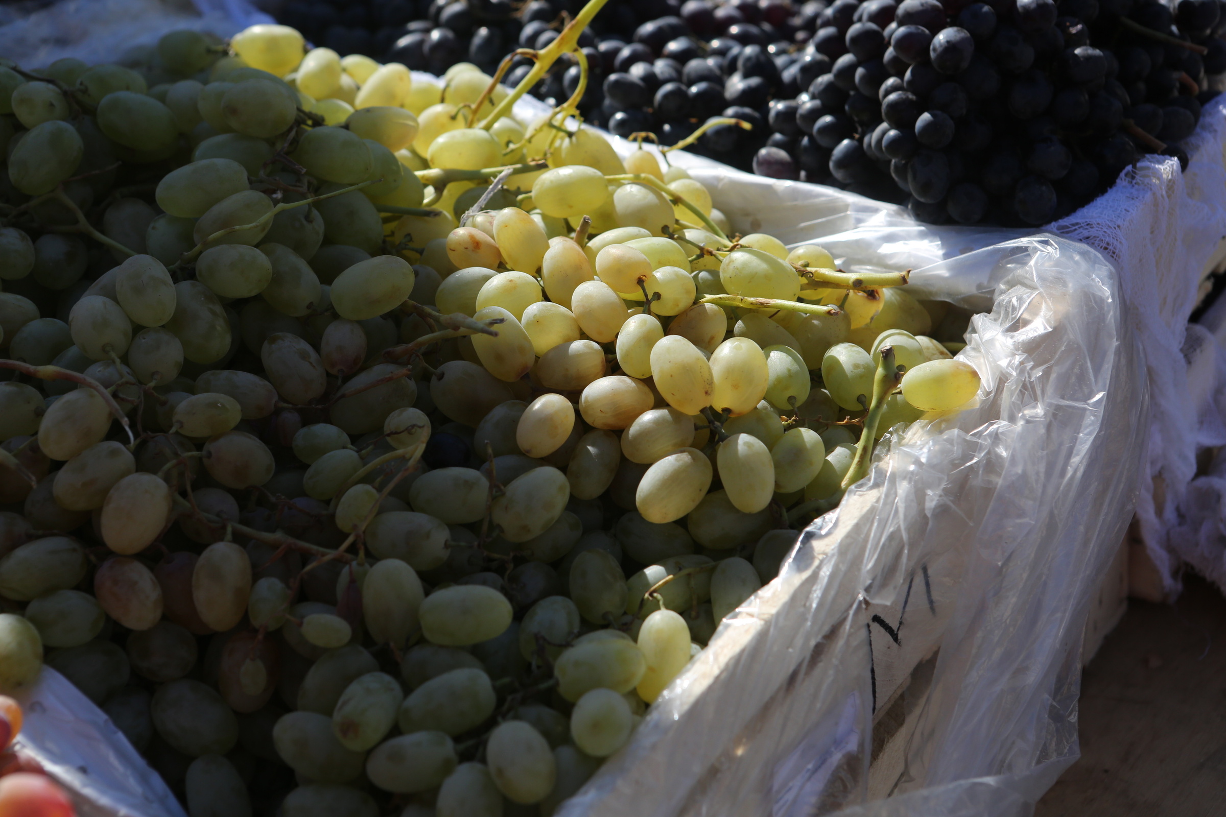 Самые популярные у новосибирцев осенние фрукты назвали в таможне