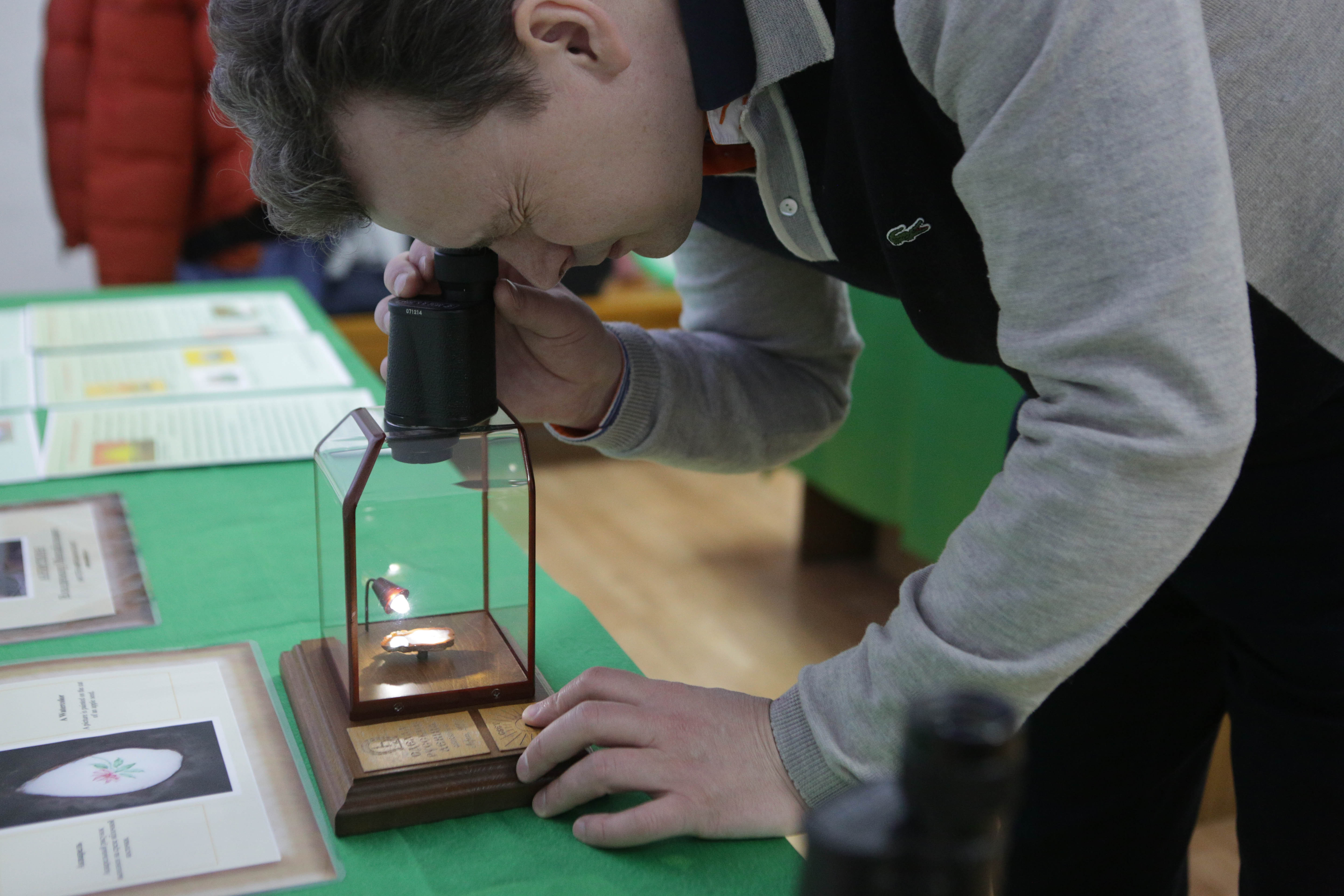 Самую маленькую картину в мире создал новосибирец Владимир Анискин