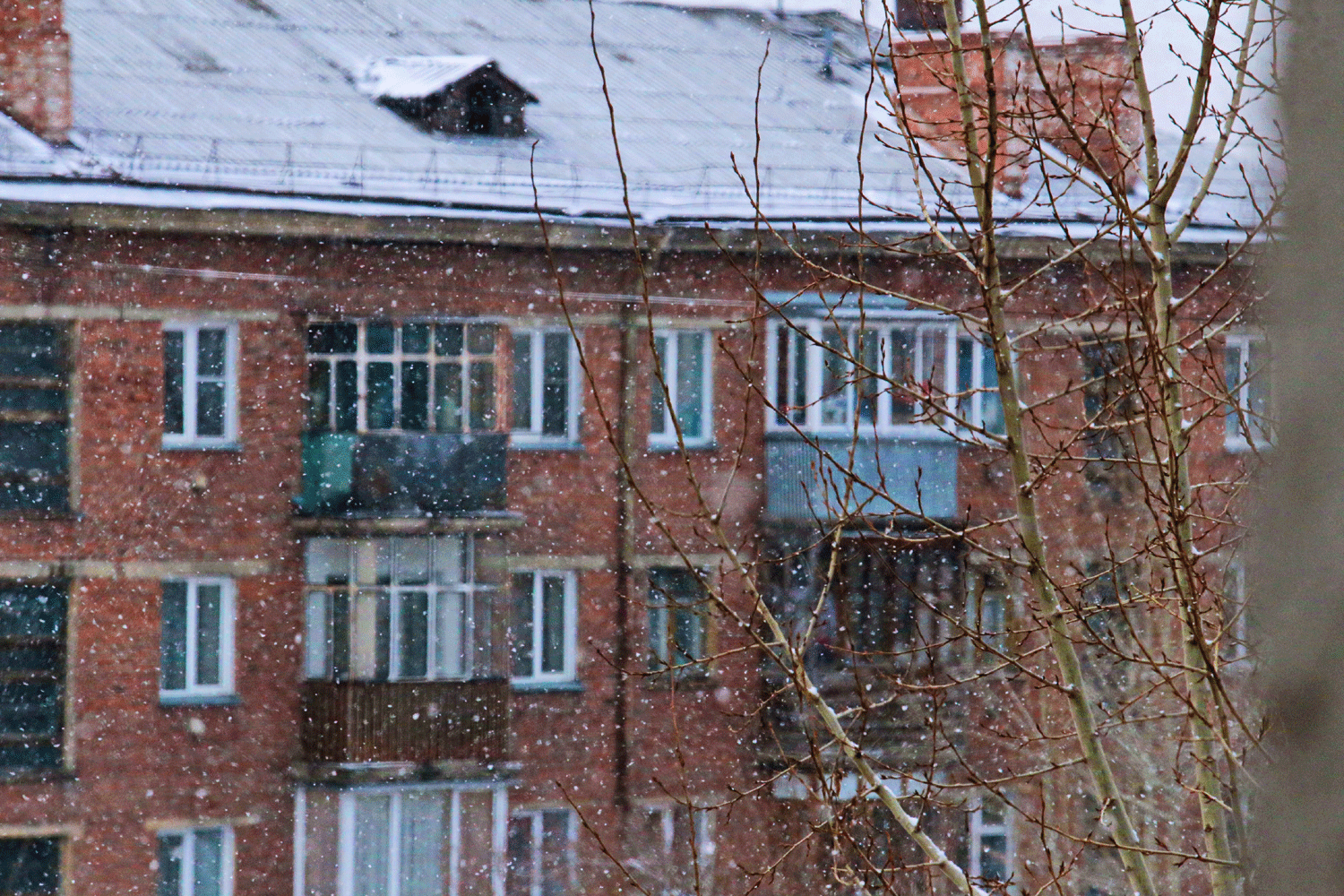 Сугробы сдерживают весну: каким будет март 2026 года в Новосибирске