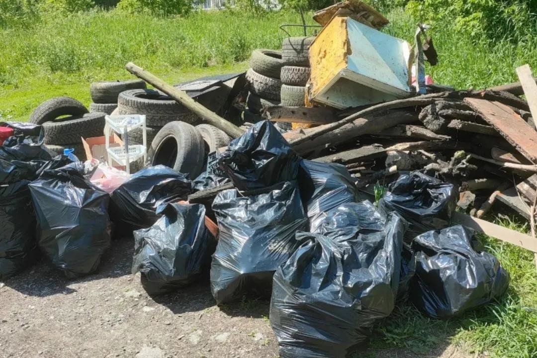 Гору покрышек и сломанный стул достали из озера на Акатуйском