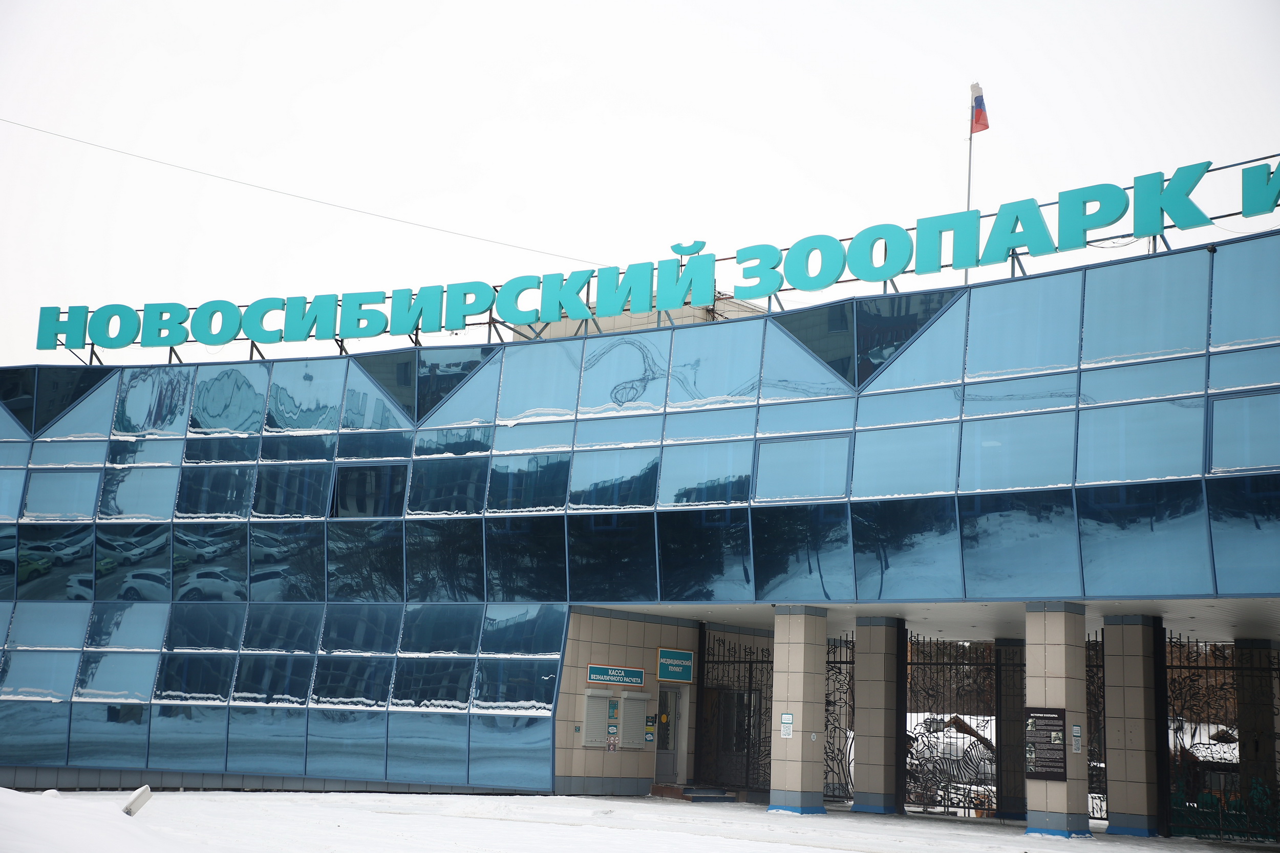 Песцы и канадские волки из Новосибирского зоопарка переехали в Индию