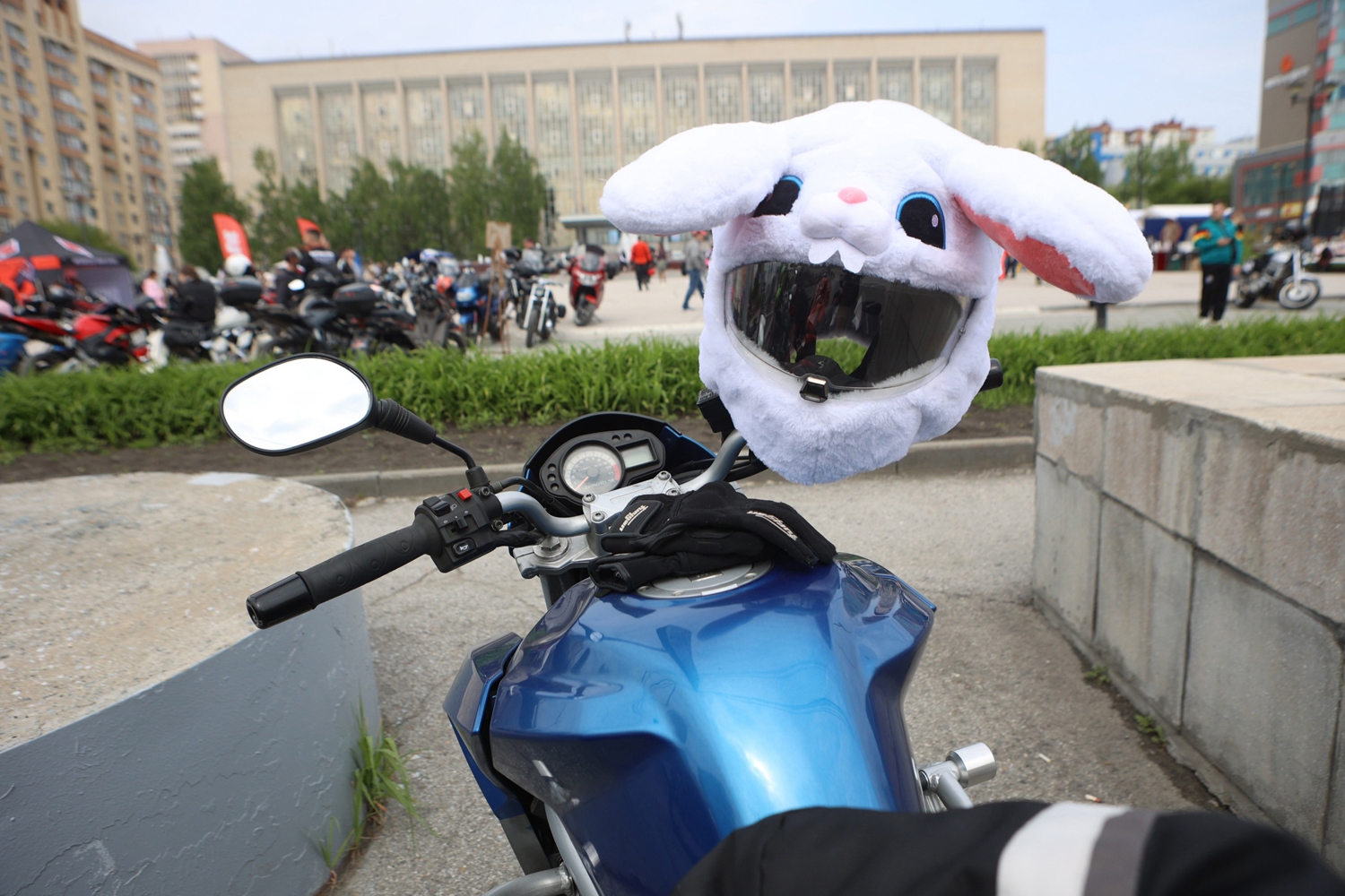 Новосибирских водителей просят быть внимательнее к мотоциклистам