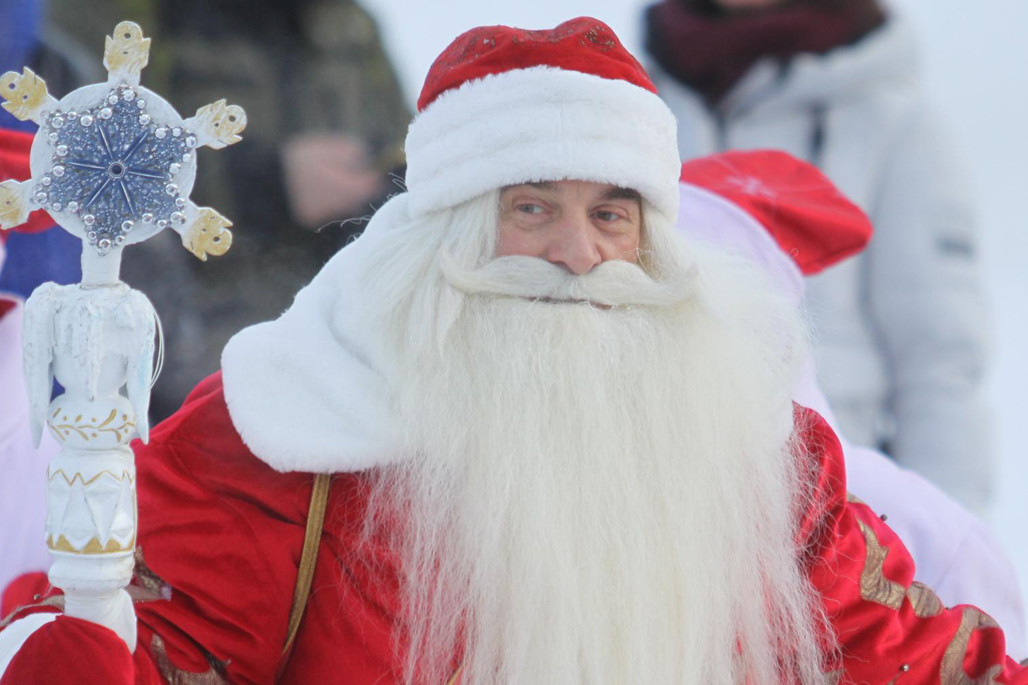 Новогодняя резиденция Деда Мороза открылась в Новосибирском зоопарке