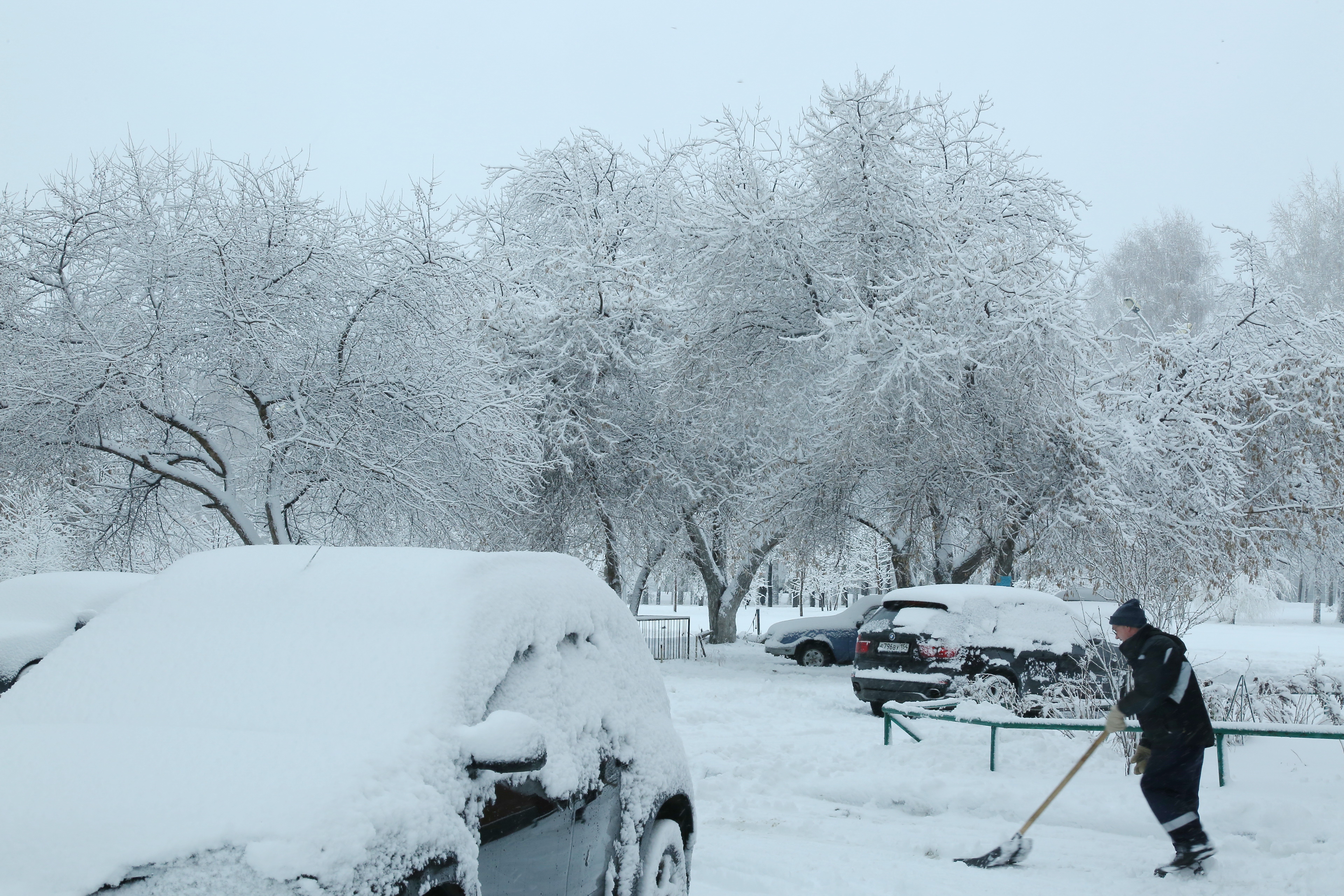 О неожиданной пользе снегопадов рассказали в новосибирском минспорта