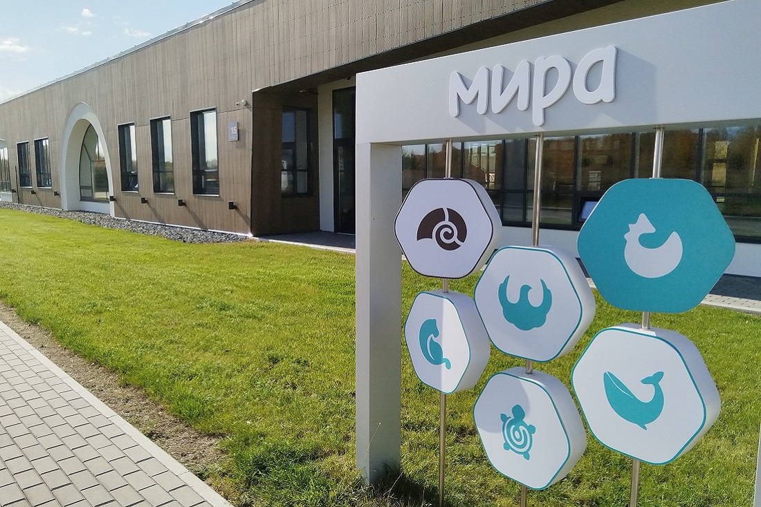 Первый в России отель тишины откроют под Новосибирском