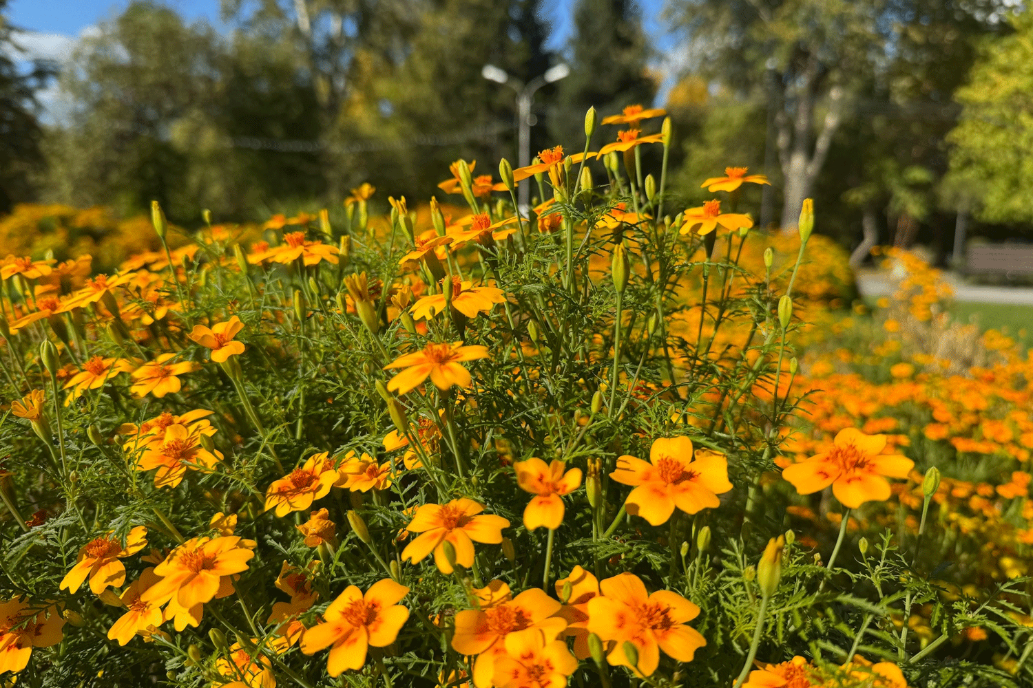 Общественные проекты на три миллиона реализовали в Ленинском районе