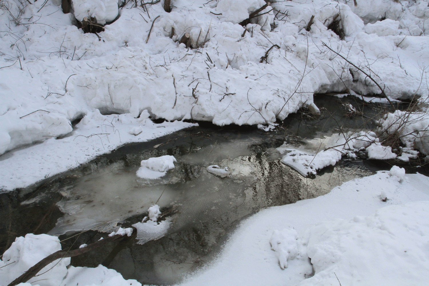 Талые воды подтопили 21 приусадебный участок в Новосибирской области