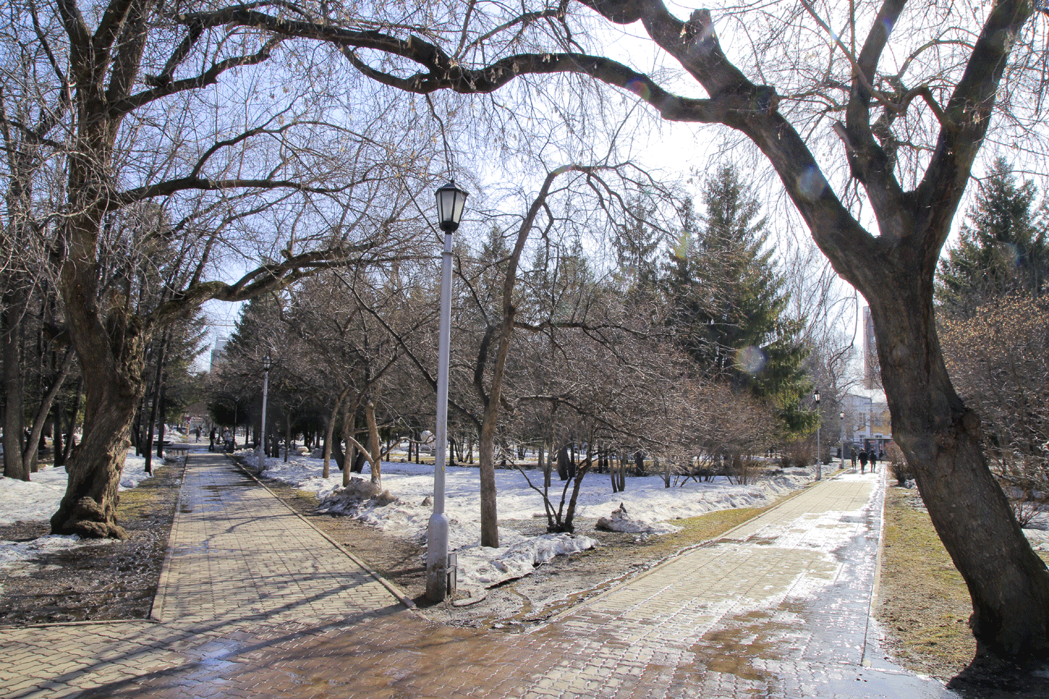 Стабильную плюсовую погоду ждут в Новосибирске к концу марта