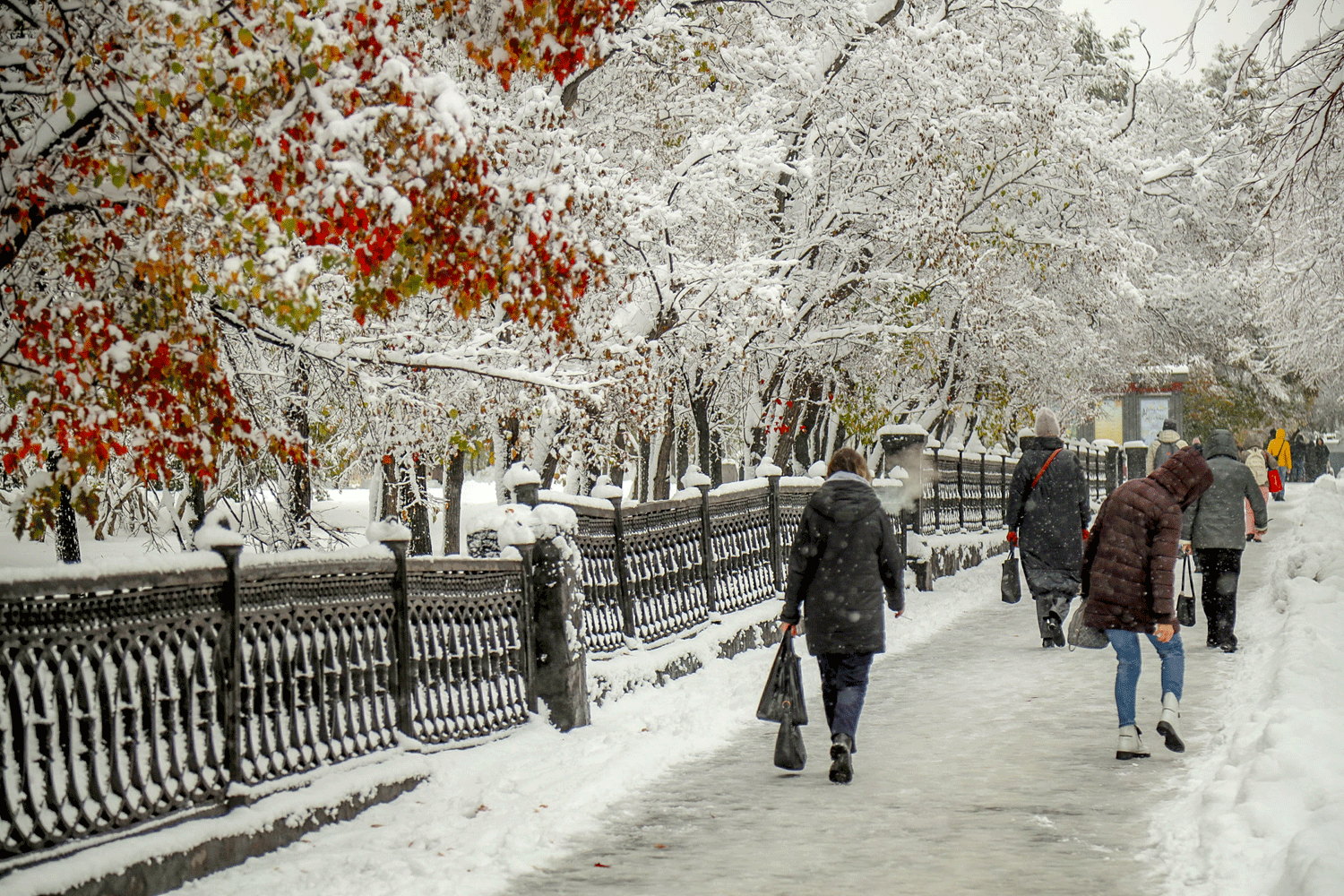 Потепление до −6 градусов придёт в Новосибирск на выходных
