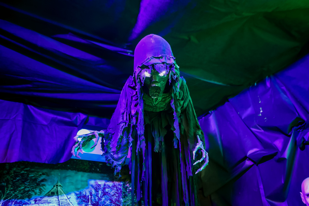 15 лучших фоторепортажей «Новосибирских новостей» за 2025 год