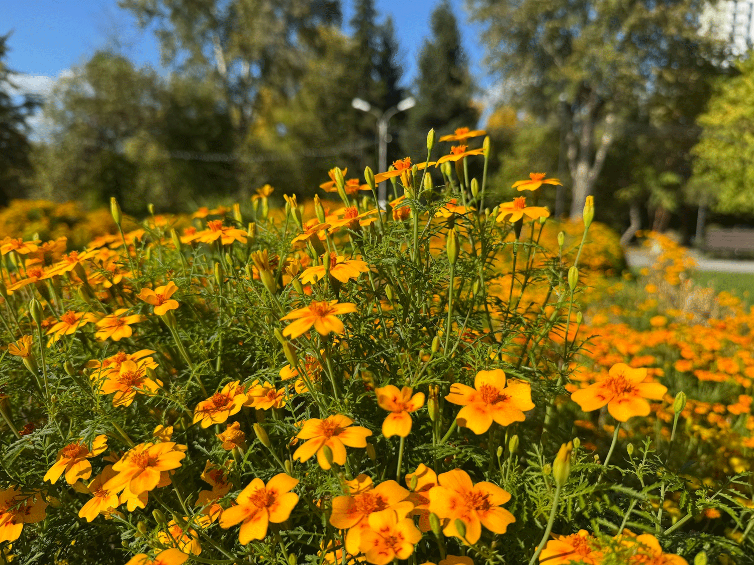 Общественные проекты на три миллиона реализовали в Ленинском районе