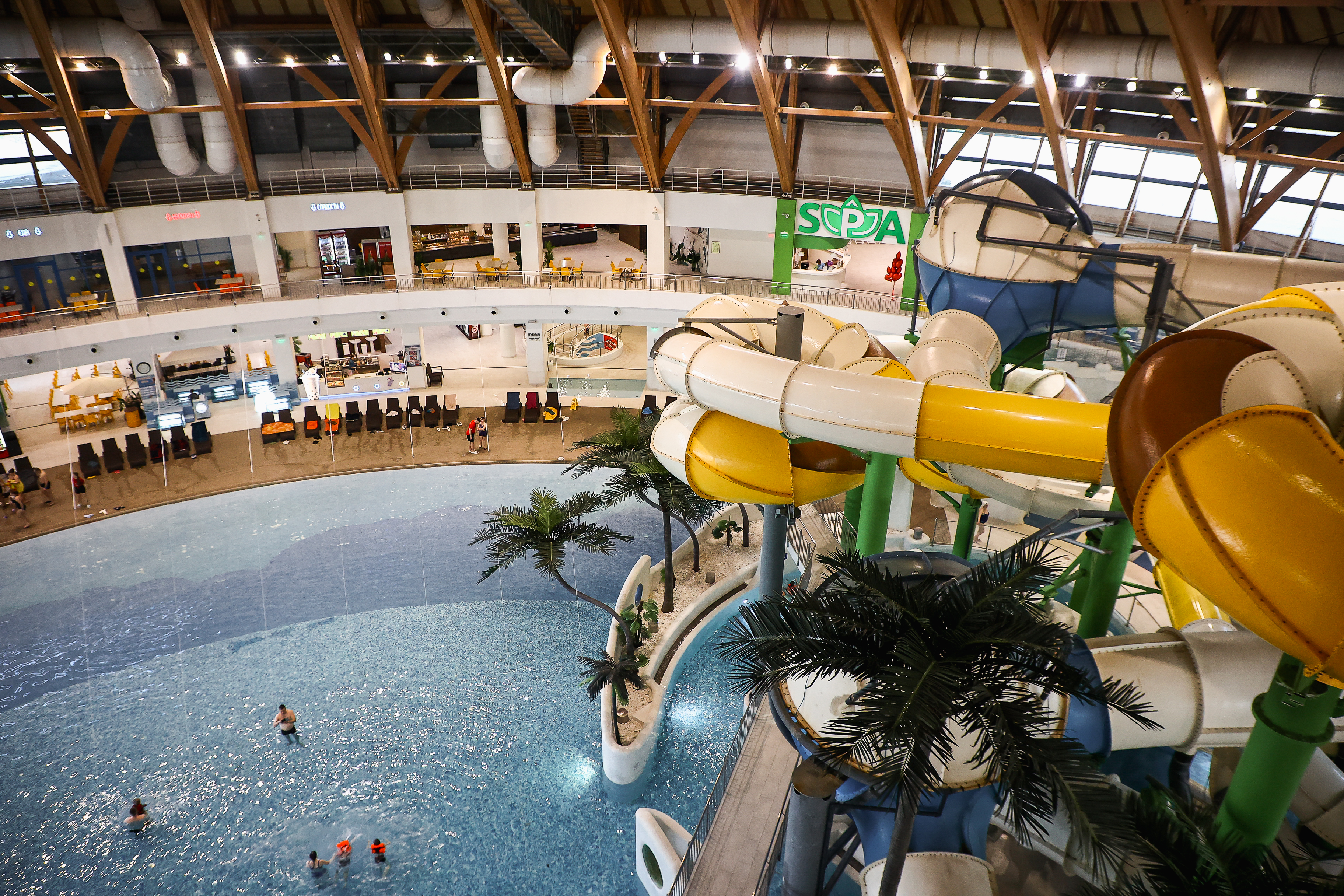 Если вы пропустили: растущая «ЯШкола», подвохи аквапарка и микромедведь