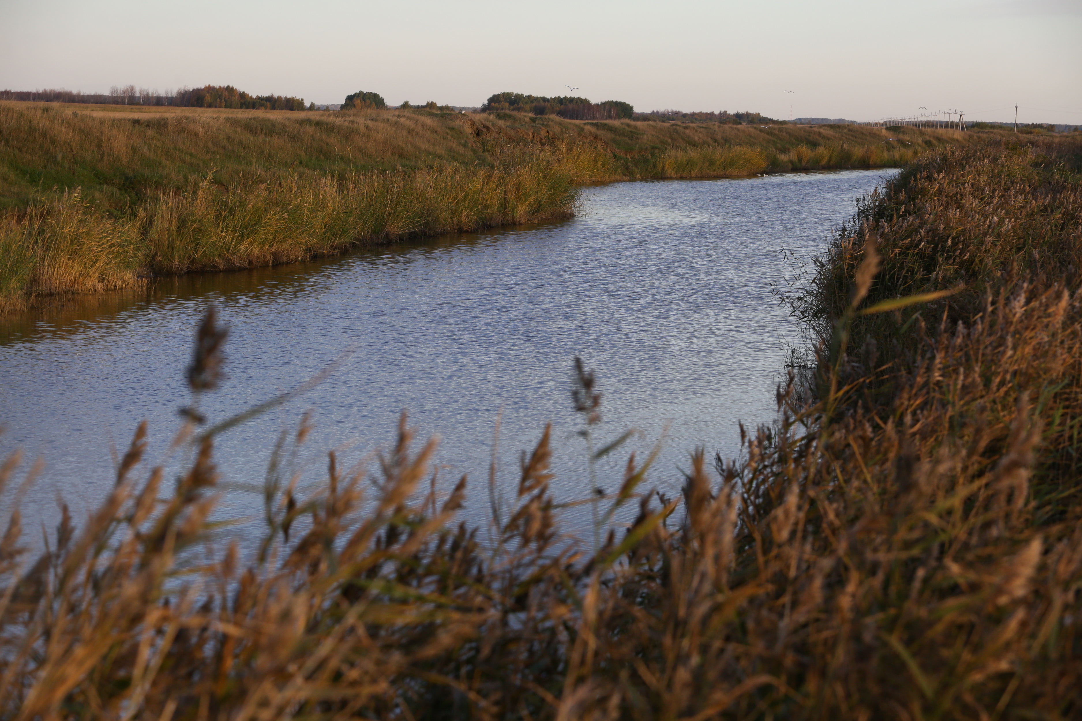 Комплекс с беспилотниками для контроля за загрязнением рек создают в НГТУ