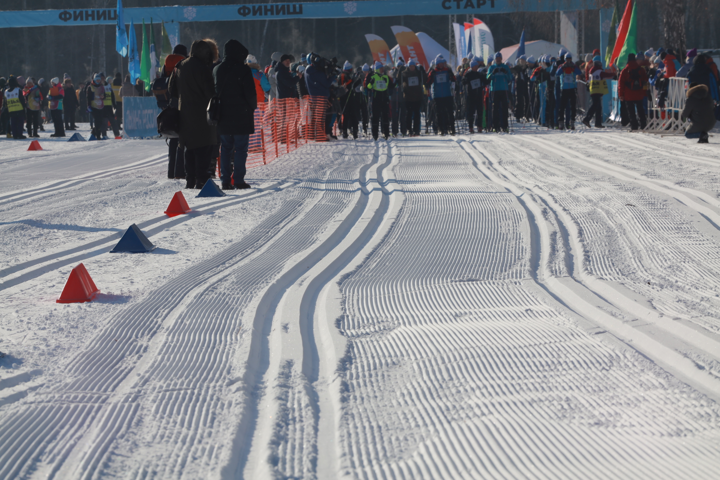 Трассы проложили в Академгородке для массовой гонки «Лыжня России»