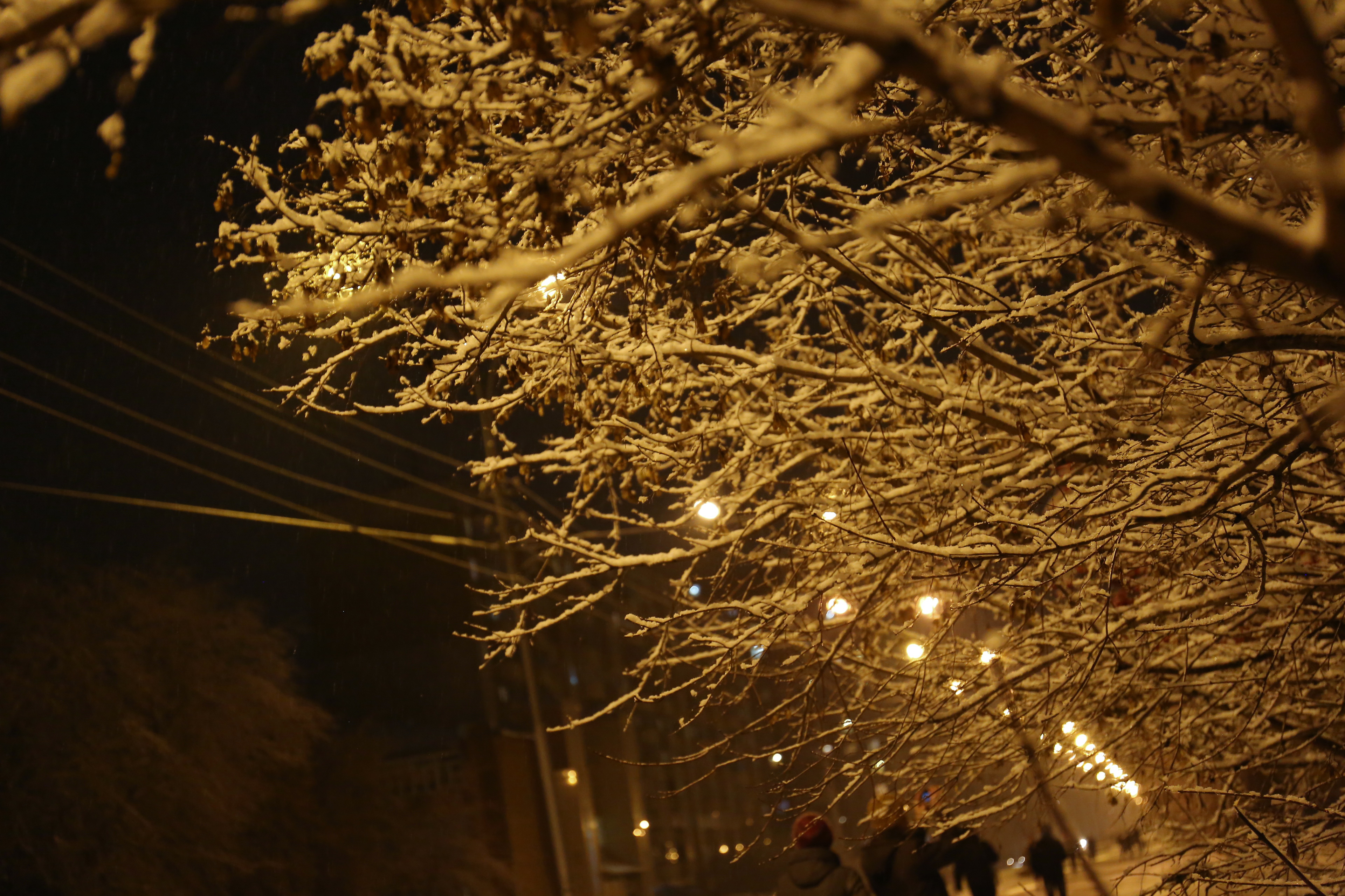 Мэр Кудрявцев: современные фонари зажгли на улице Коминтерна