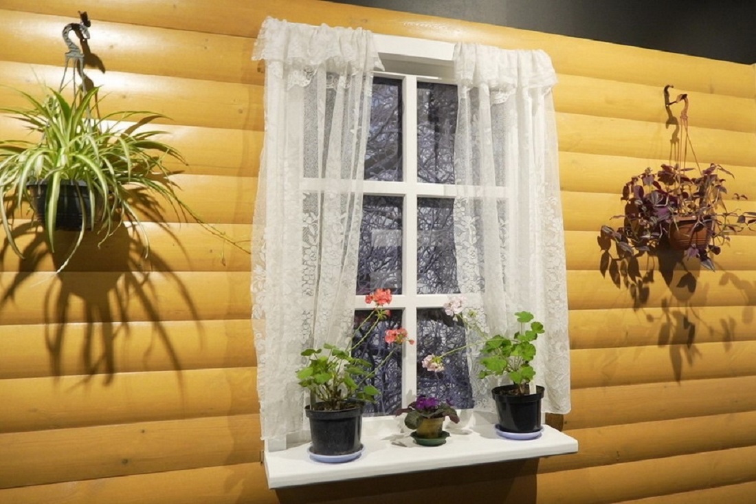 Четыре причины завести цветы на подоконнике назвали врачи из Новосибирска