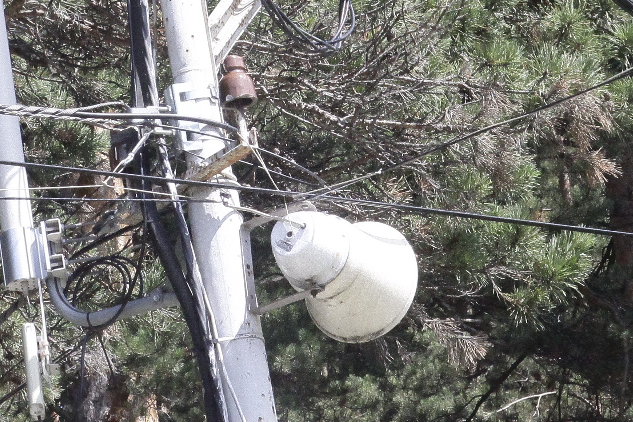 Сирены завоют, телепередачи прервутся 4 марта в Новосибирской области