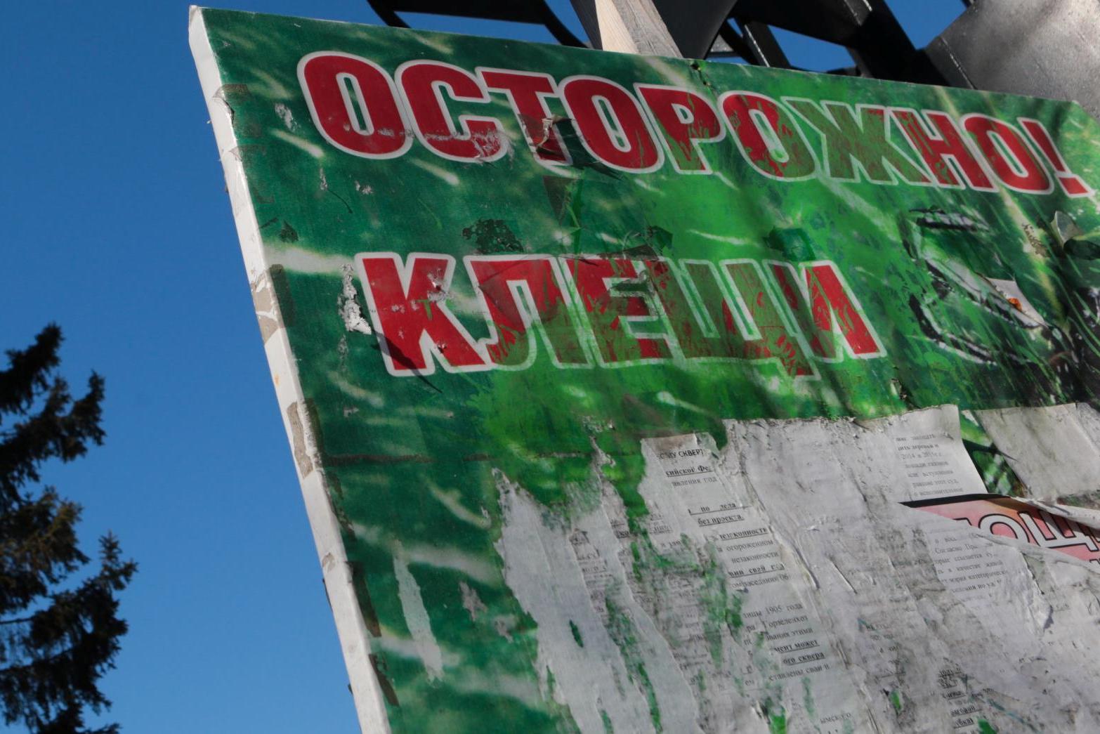 Как защитить себя от укуса клеща