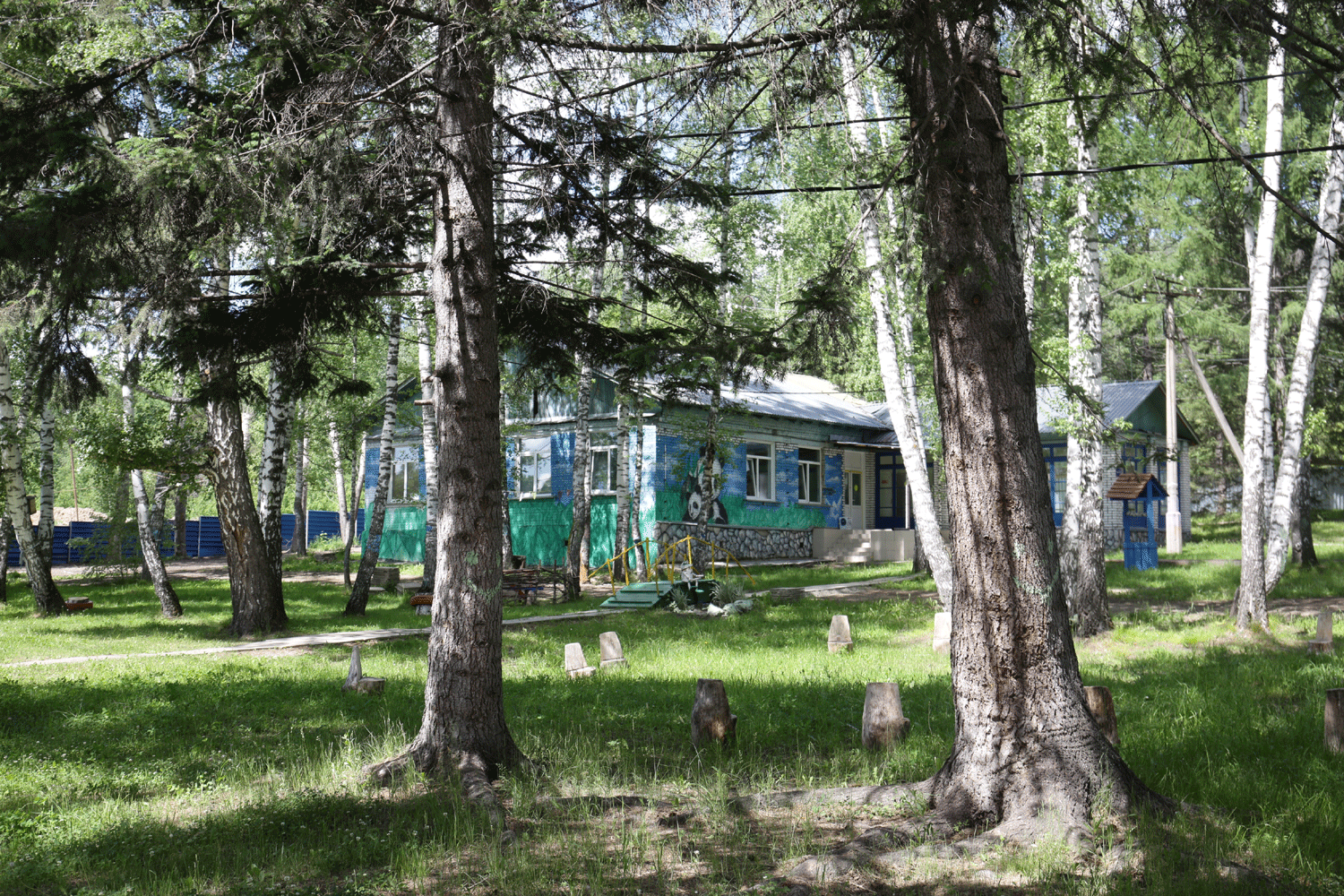 Список легальных летних лагерей обнародовали в Новосибирской области