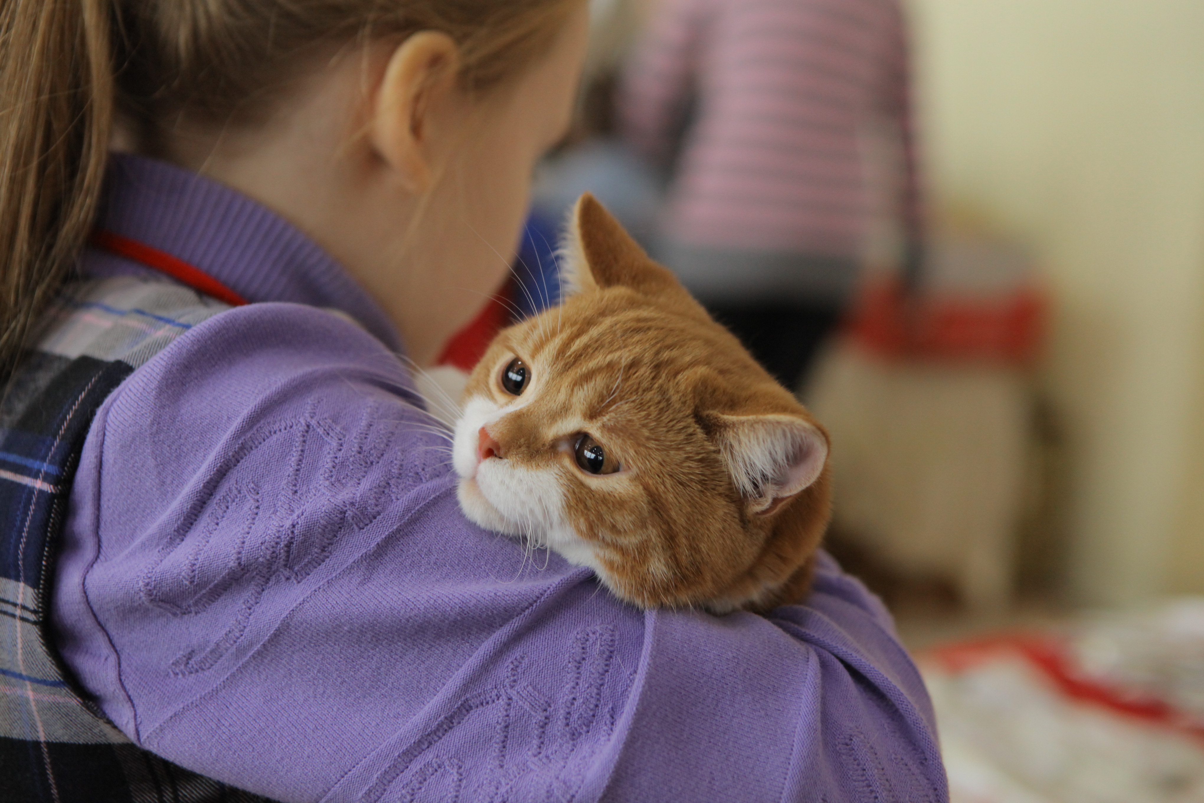 Как аккуратно жить с питомцем в съёмной квартире: советы новосибирцам