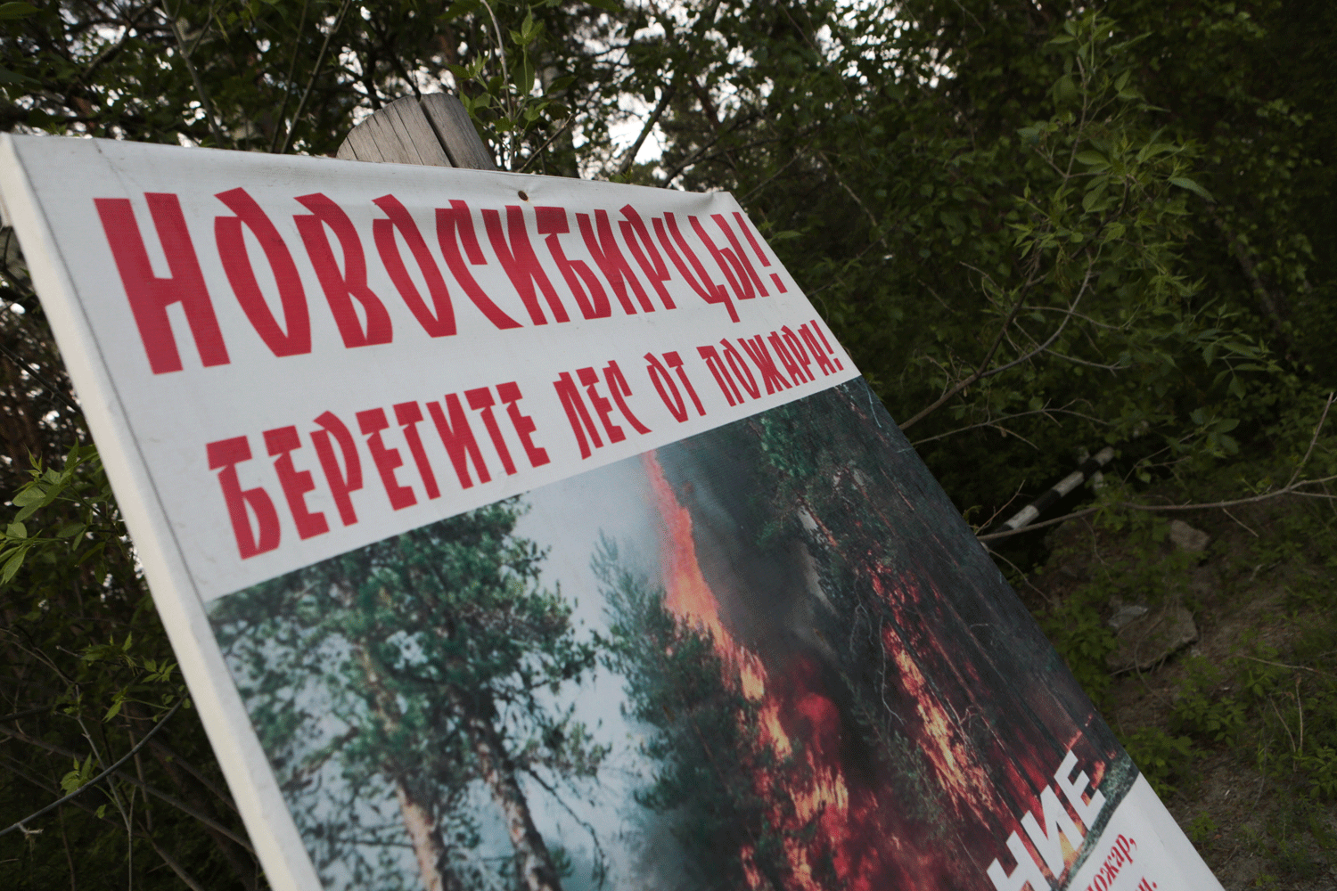 Об аномальной жаре до +32 градусов предупредили новосибирцев
