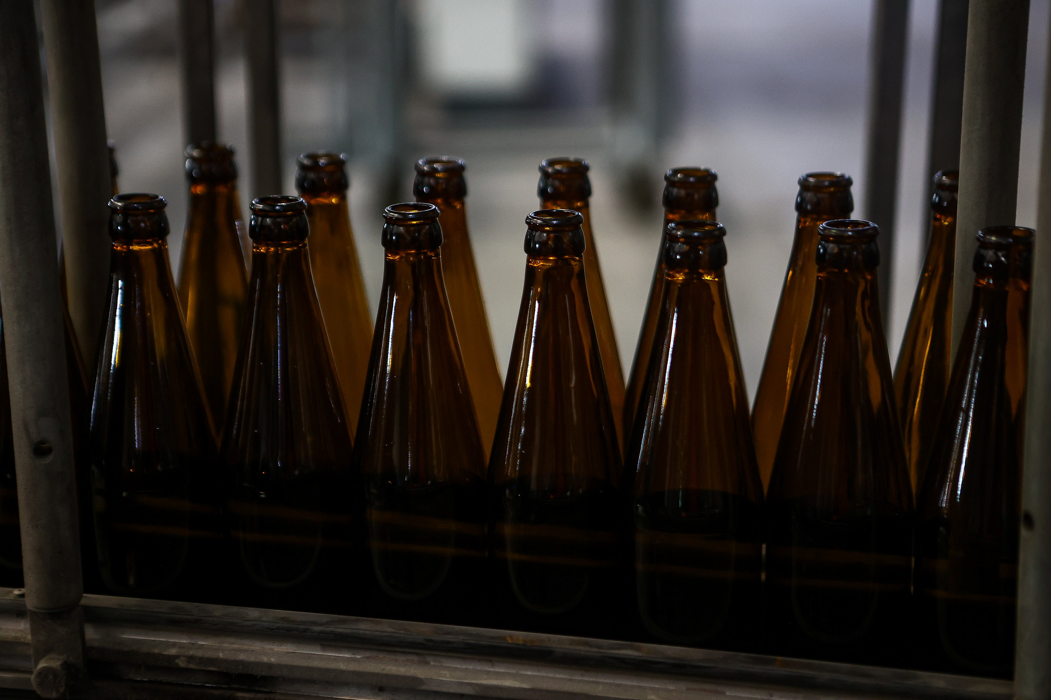 Новосибирский завод готов собрать весь стеклобой с Дальнего Востока