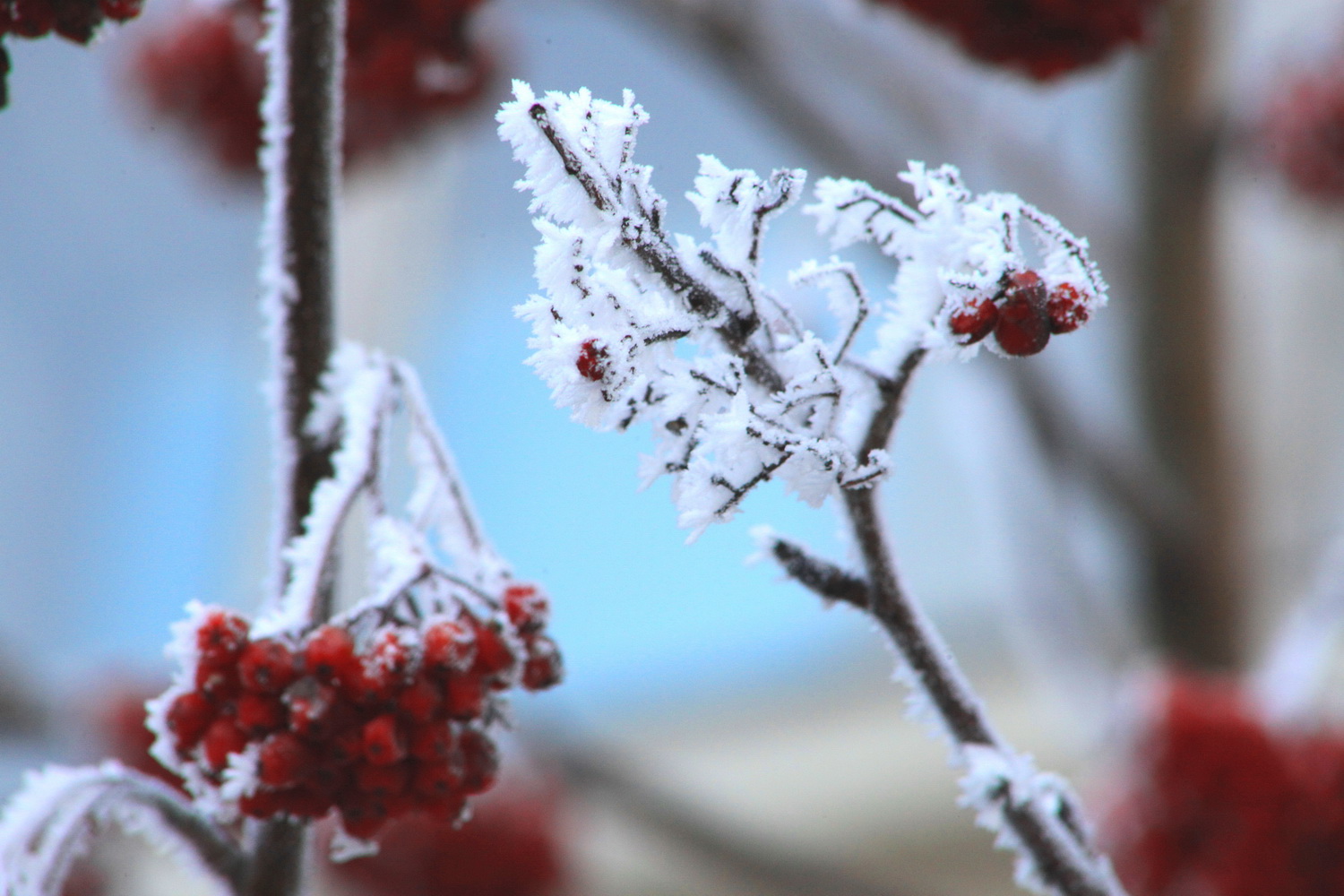 Воздушная масса с запада принесёт в Новосибирск потепление в выходные