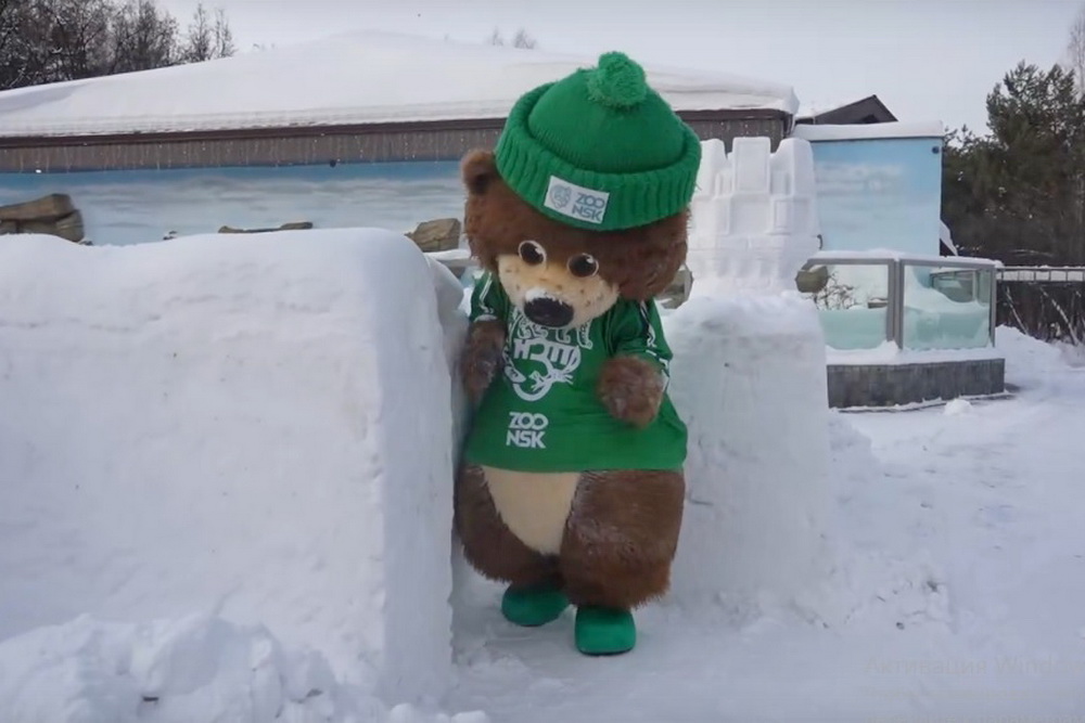 Снежный лабиринт открыли в новосибирском зоопарке