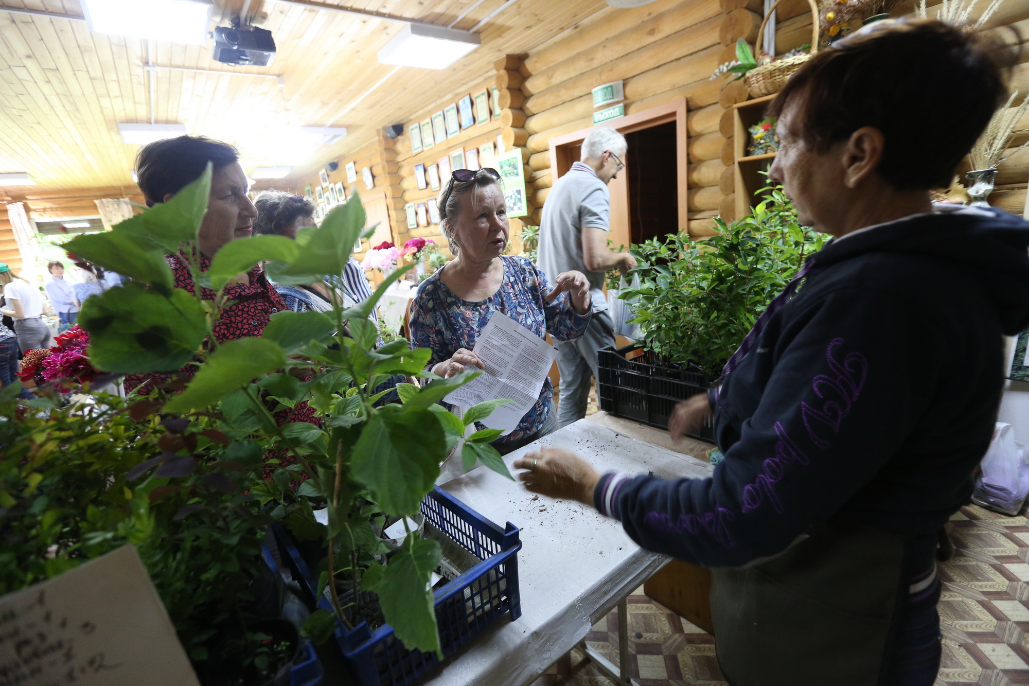 «Дачная весна — 2026»: новосибирцев зовут на мастер-классы по посевам