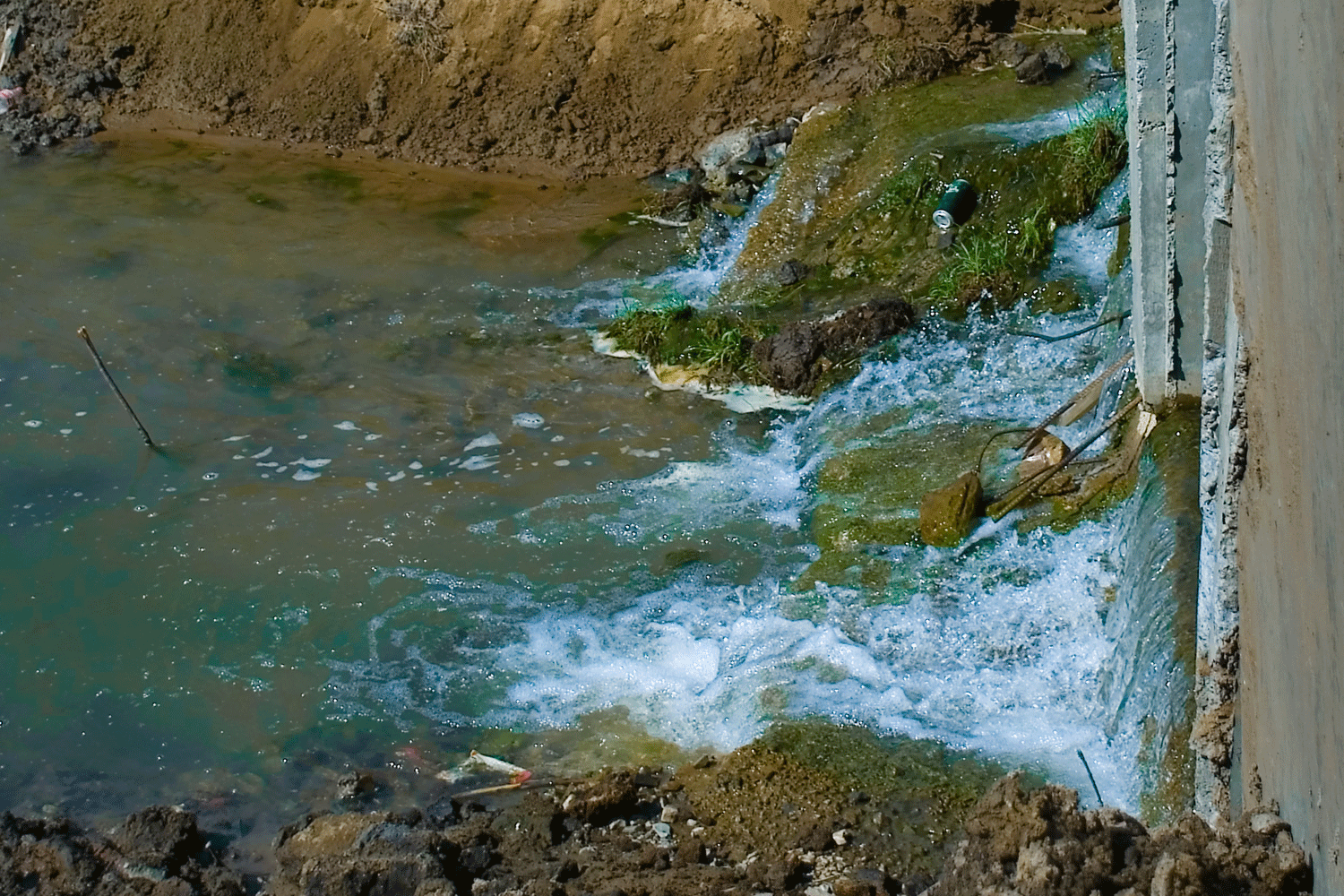 Реку Карапузёнок и гриву Худышкина нашли в Новосибирской области