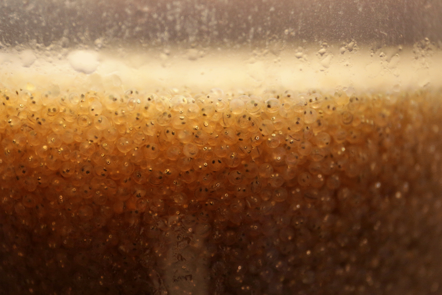 Сибирский завод кормов для рыб планирует выйти на международный рынок