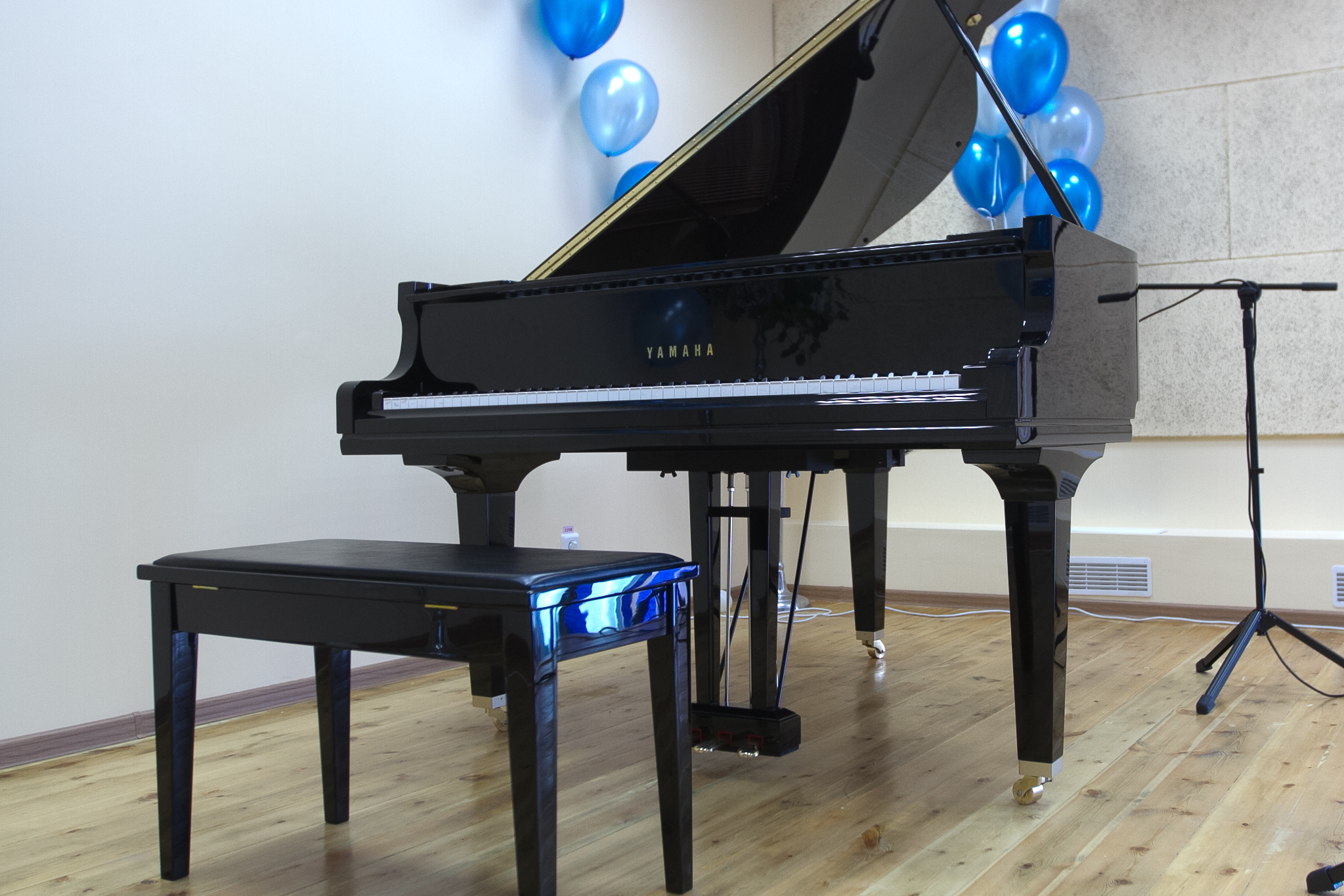 Учиться в «Школу мастеров» зовут музыкантов из Новосибирска