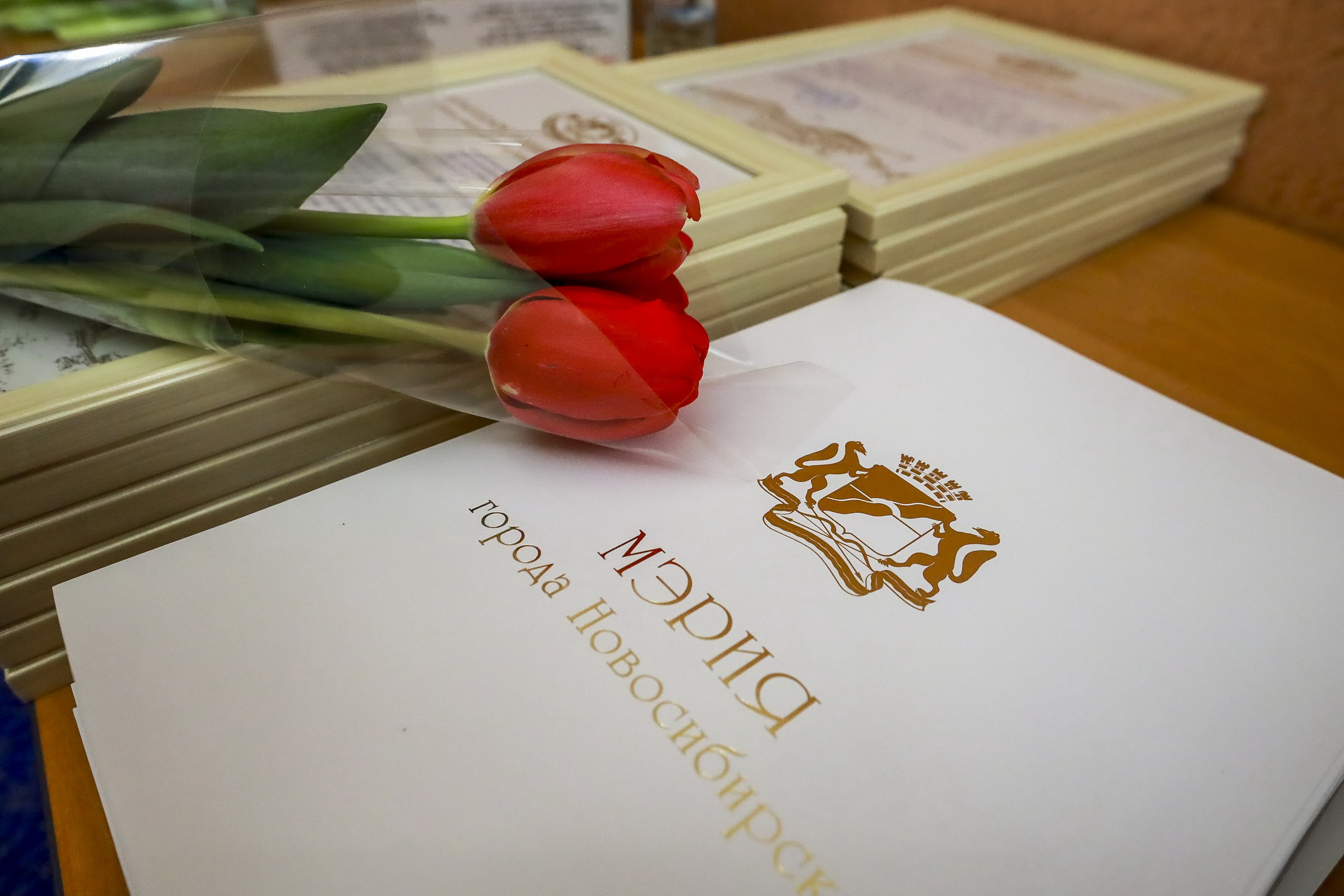 Мэр Максим Кудрявцев поздравляет сибирячек с Международным женским днём