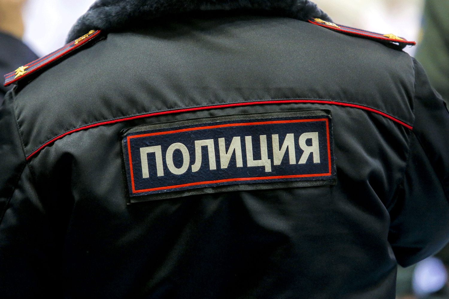 Хоккейного болельщика накажут за нападение на полицейского в Новосибирске