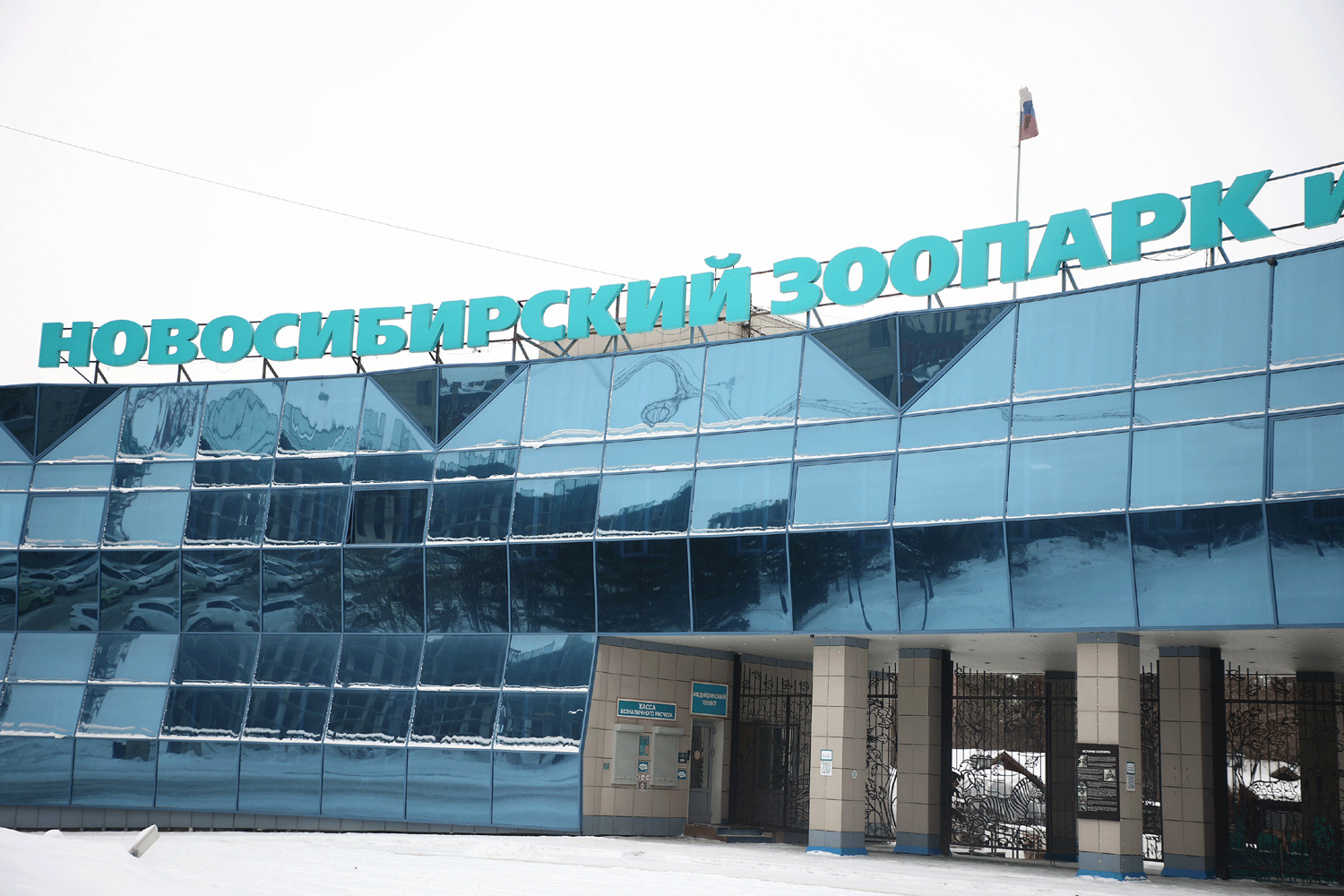 Юристы бесплатно проконсультируют пожилых в Новосибирском зоопарке