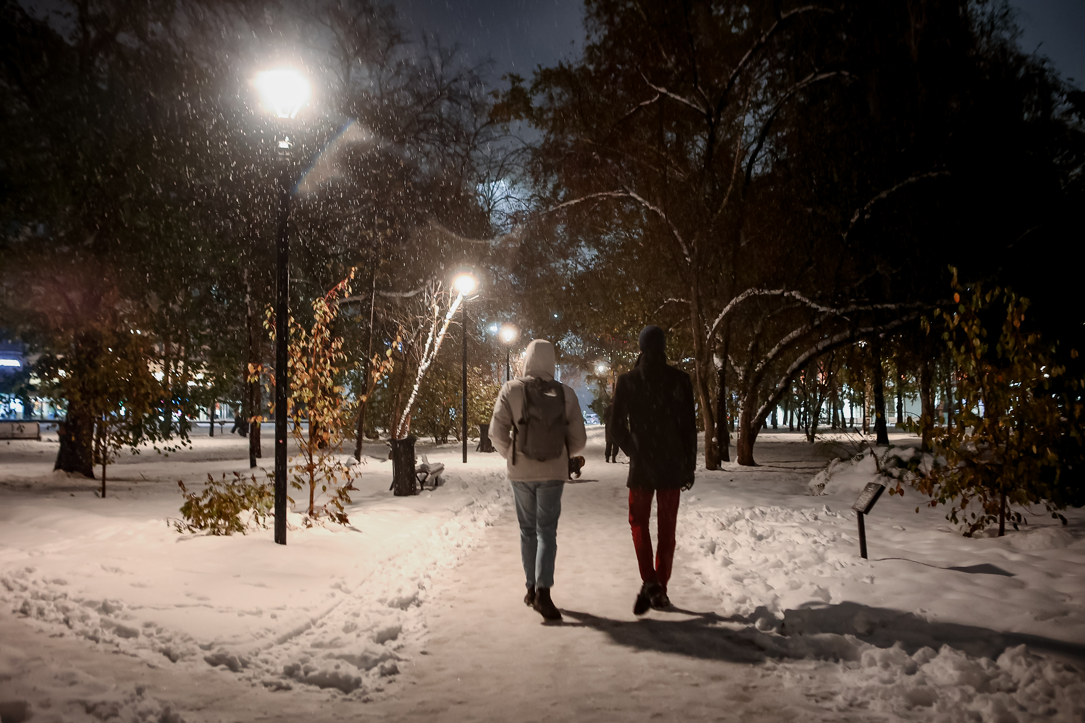 Рекордно тёплую новогоднюю ночь в Новосибирске прогнозируют синоптики