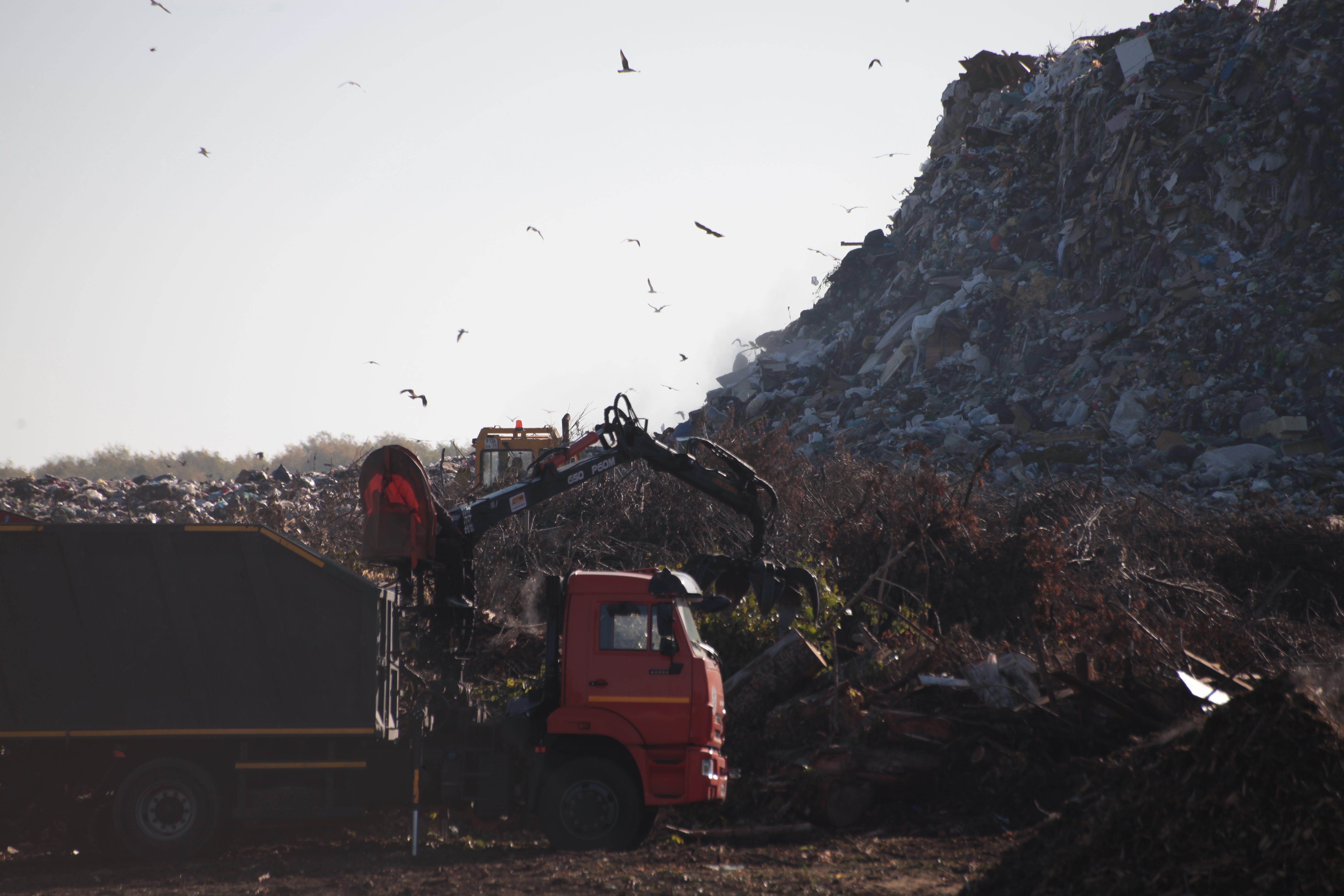 Новые мусорные концессии на два комплекса заключат в Новосибирске