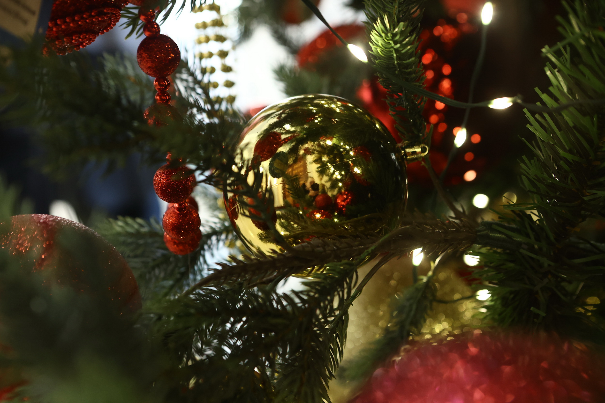 Мэр Кудрявцев поздравил одарённых школьников в новогодней резиденции