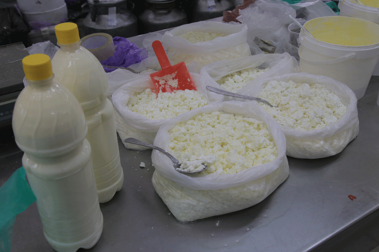 Больше пяти тонн молочной продукции забраковали в Новосибирской области