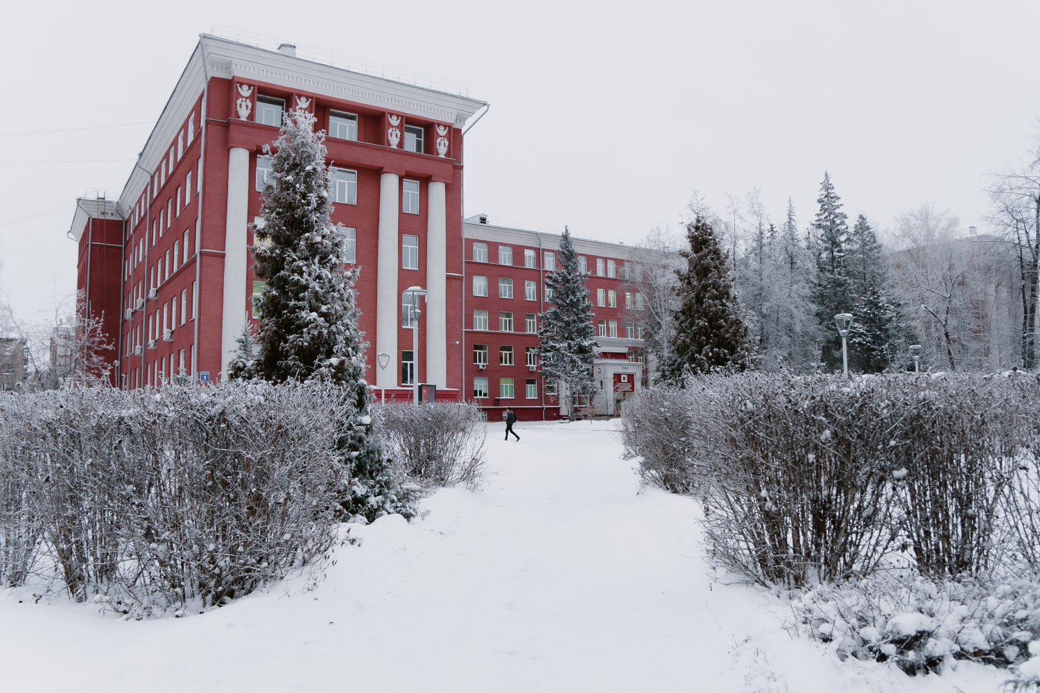 Универсальную коляску для людей с ДЦП разработали в Новосибирске