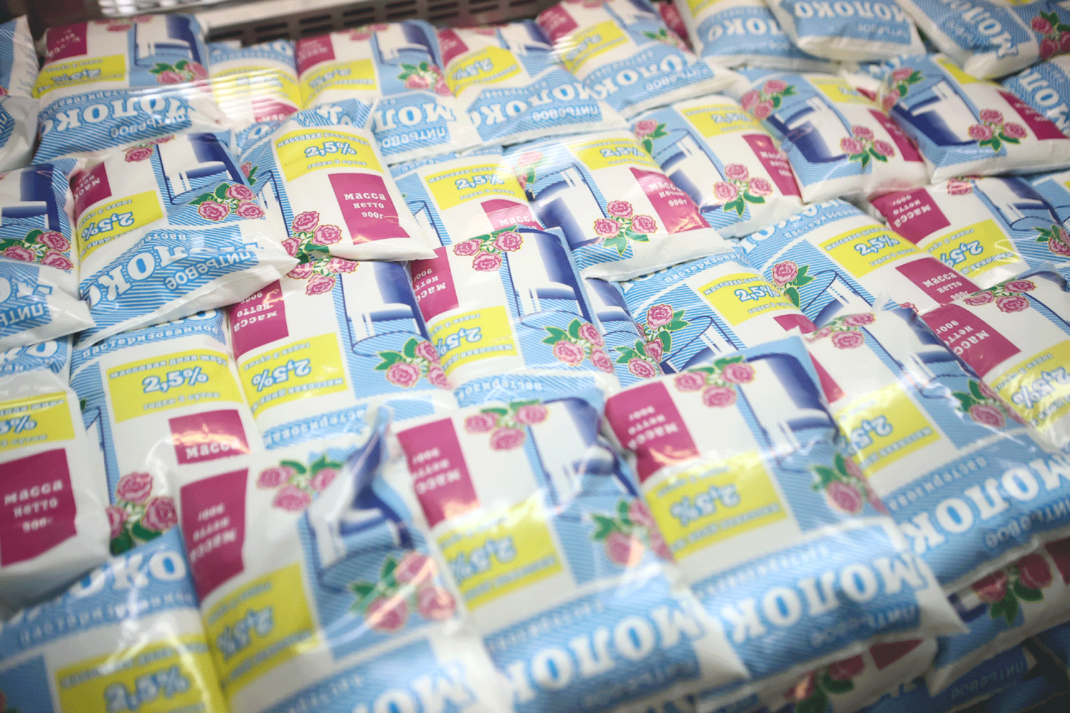 Областная социальная ярмарка заработала на новом месте в Новосибирске