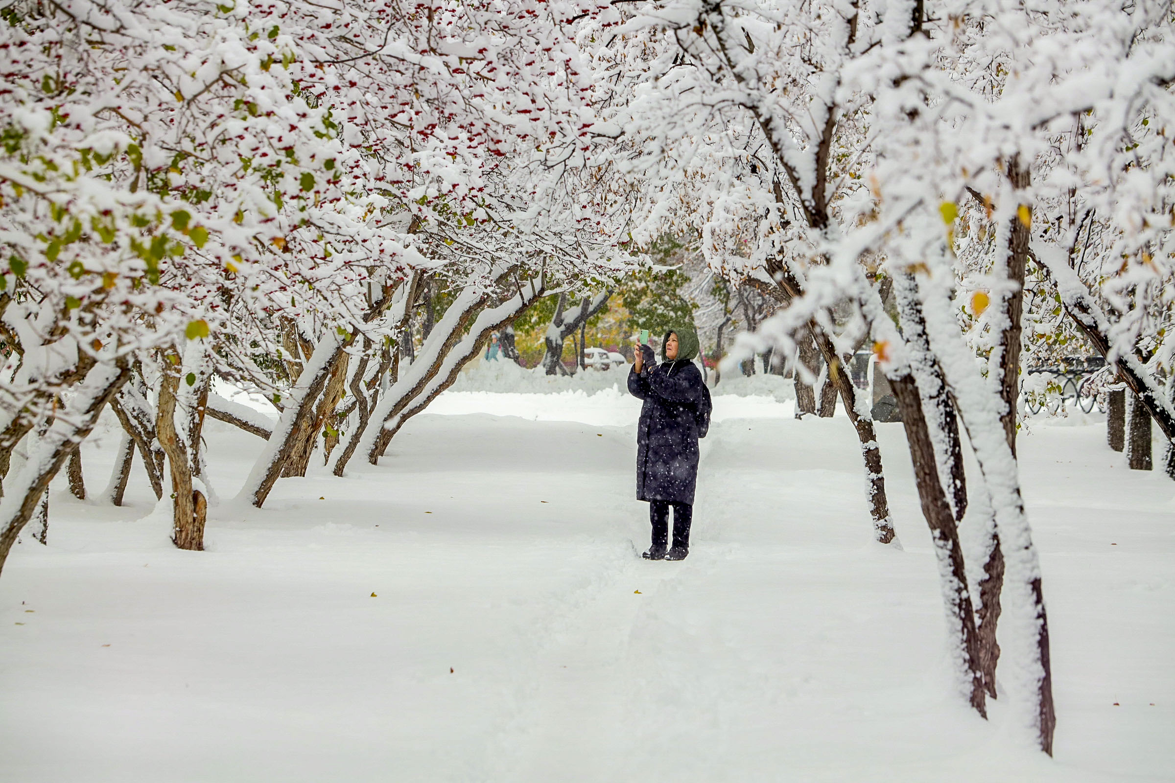 Новосибирцам пообещали потепление в последнюю неделю января