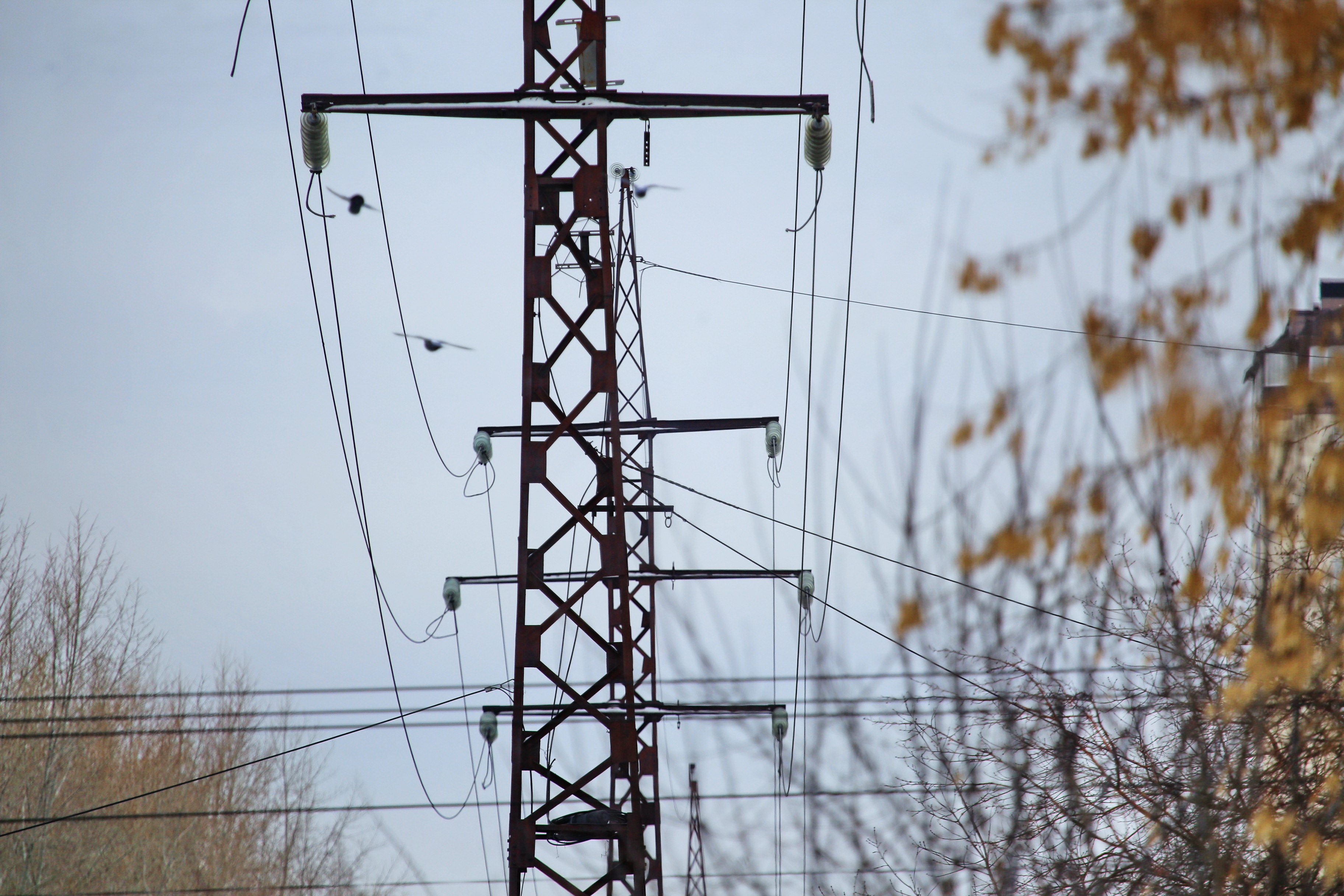 88 опор установят энергетики для ЛЭП к угольным разрезам под Новосибирском